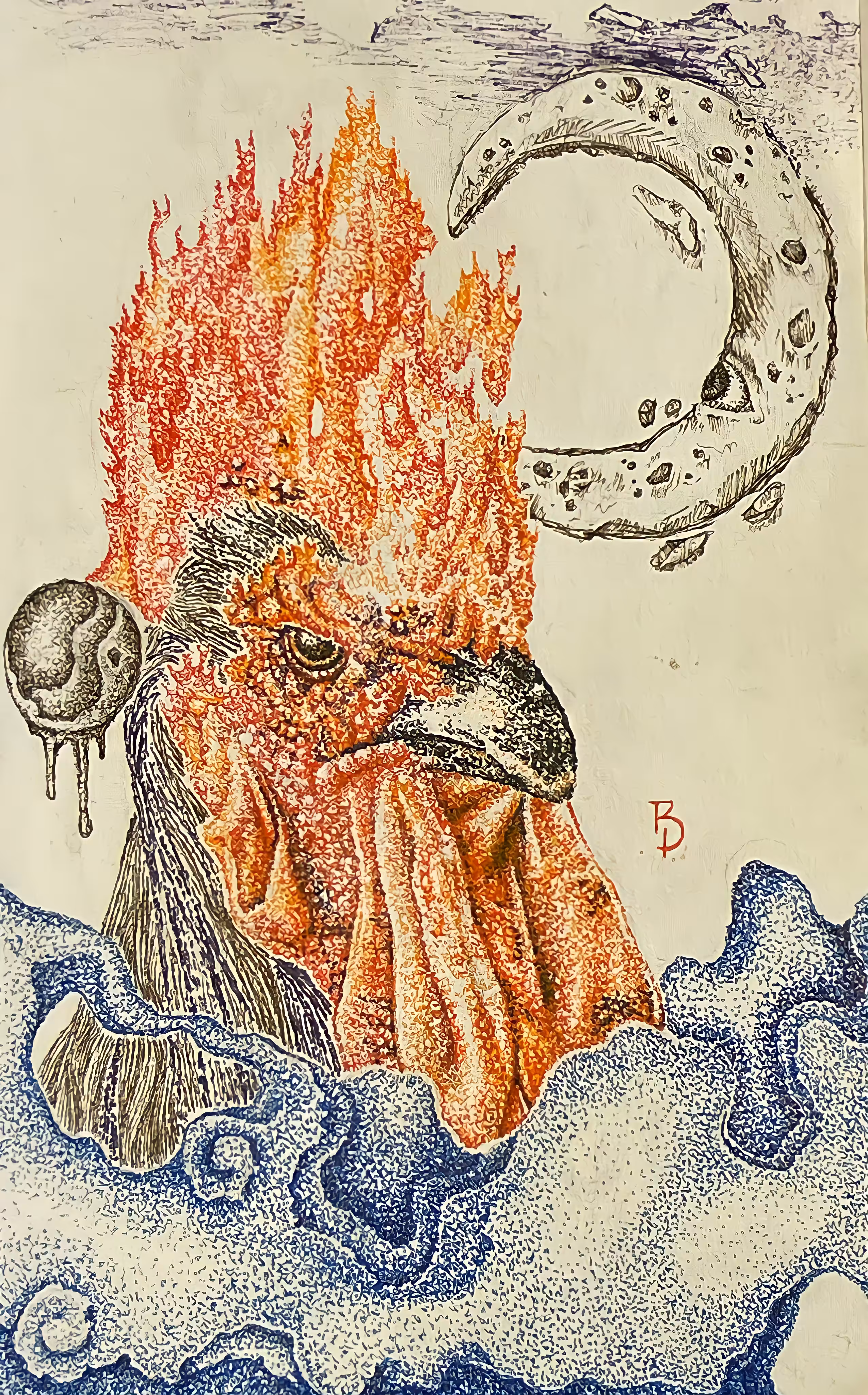 rooster anger