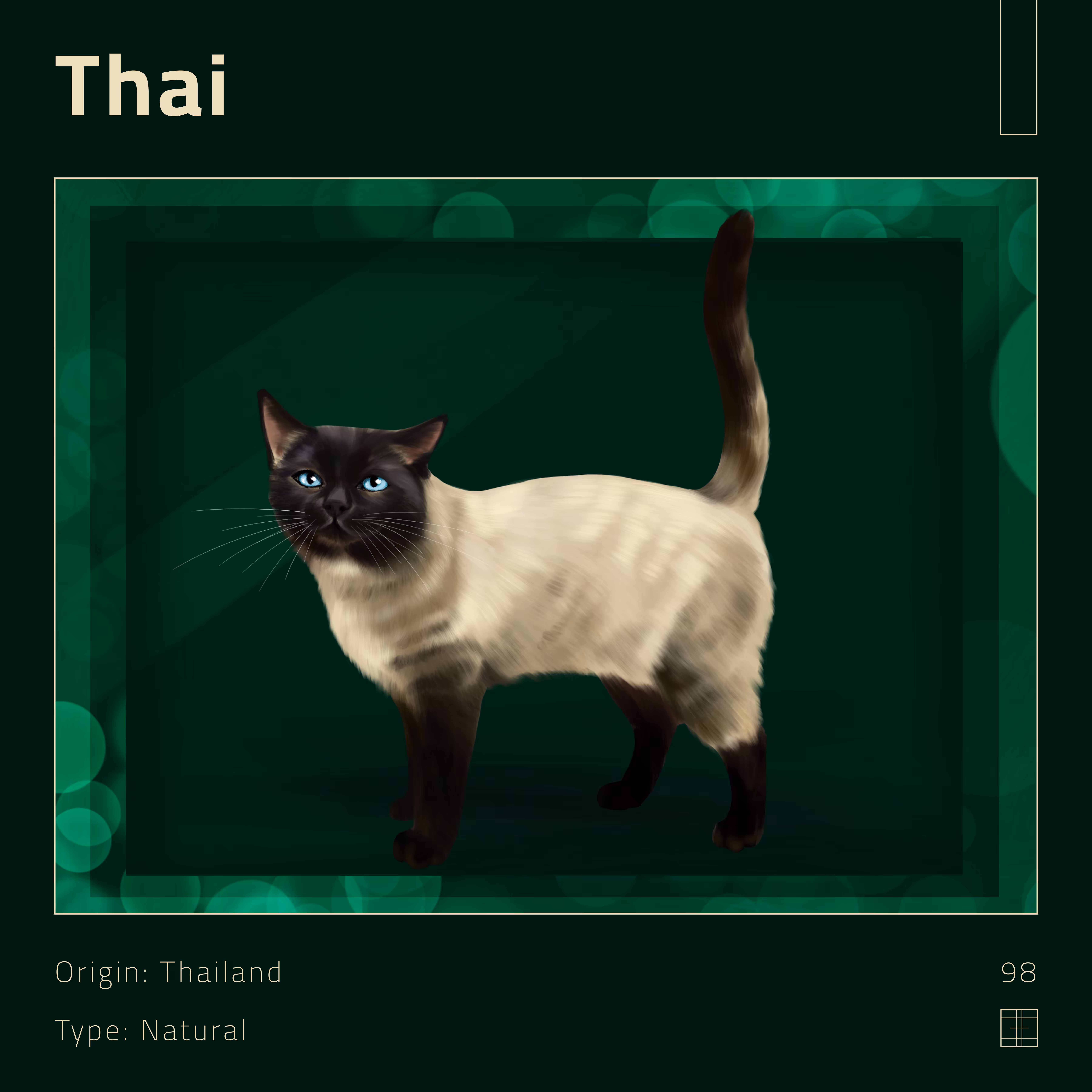 98 – Thai