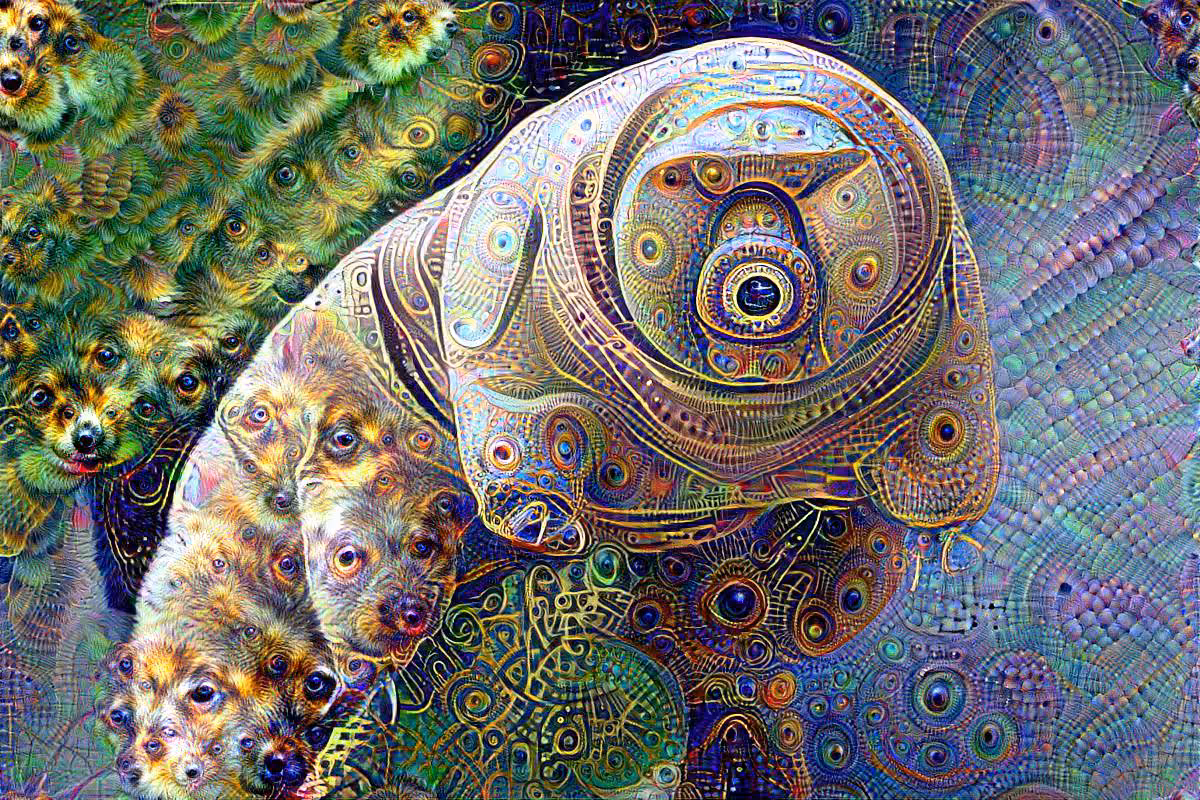 Tardigrada