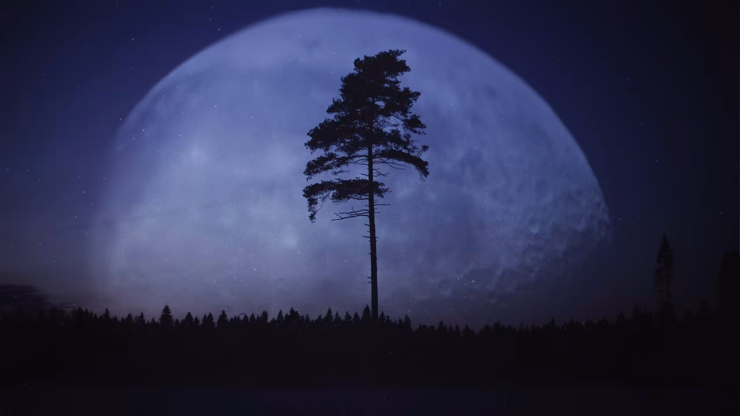 See You In My Dreams