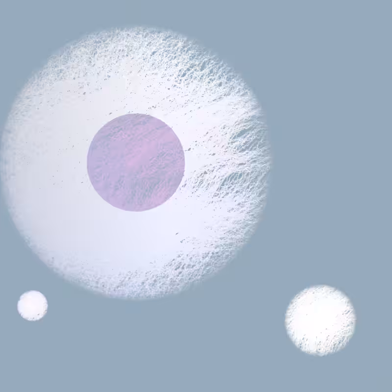 Orbit #36