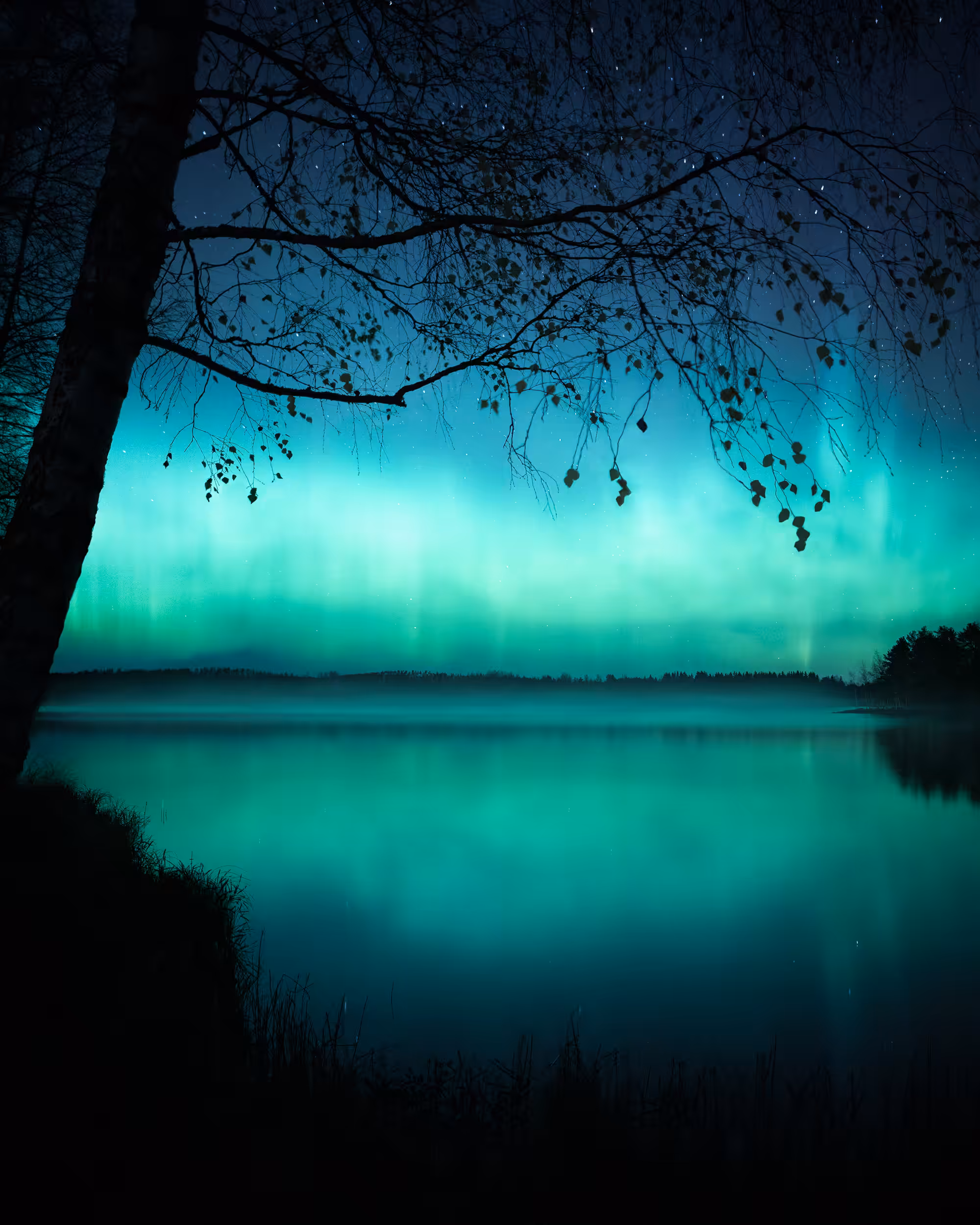 Stillness