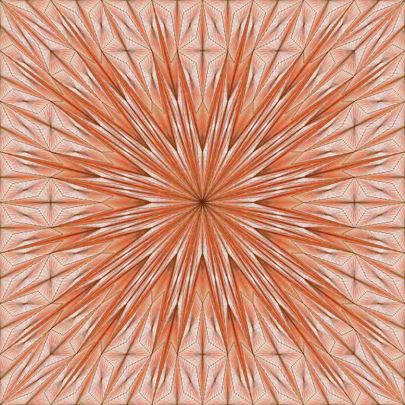 Triangle Subdivisions #310