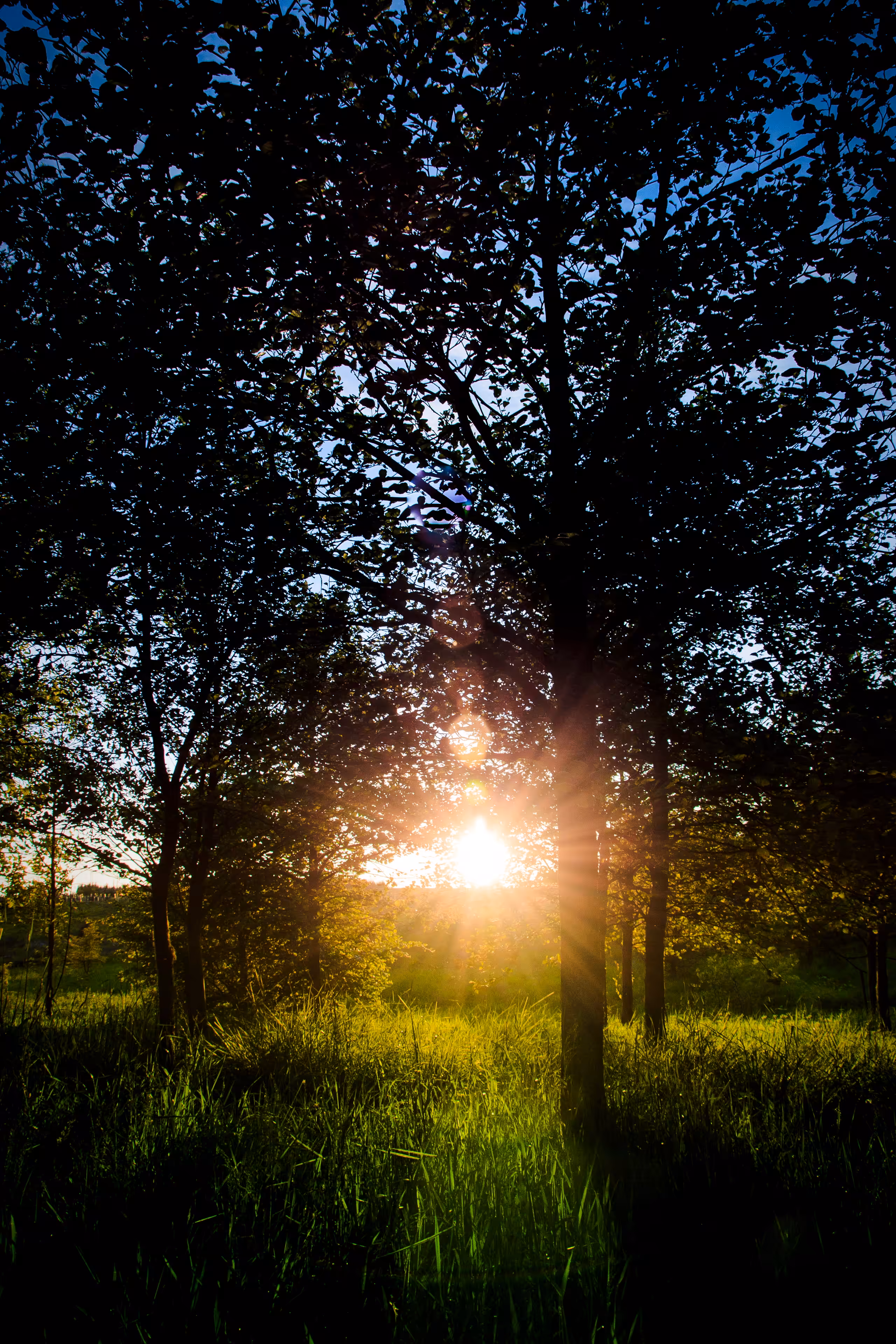 Dawn of a New Day