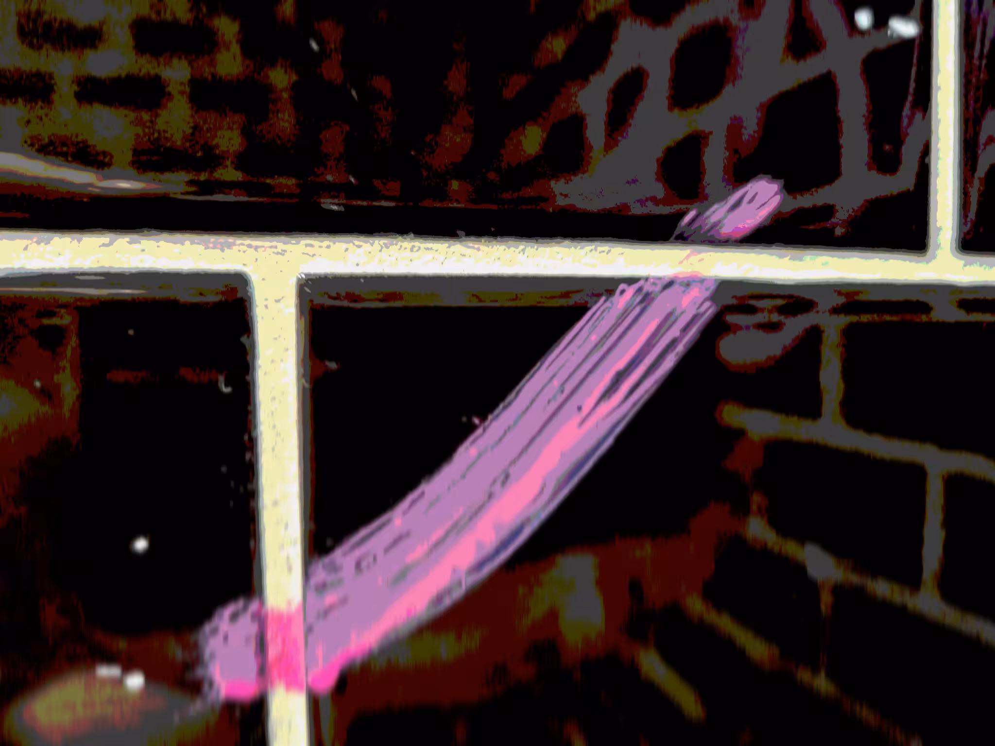 Marque Rose #6