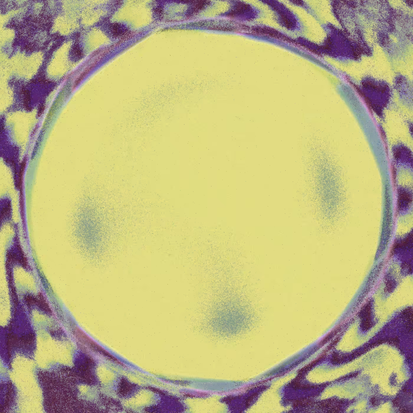 ⊗⊕⊗⊕ #13