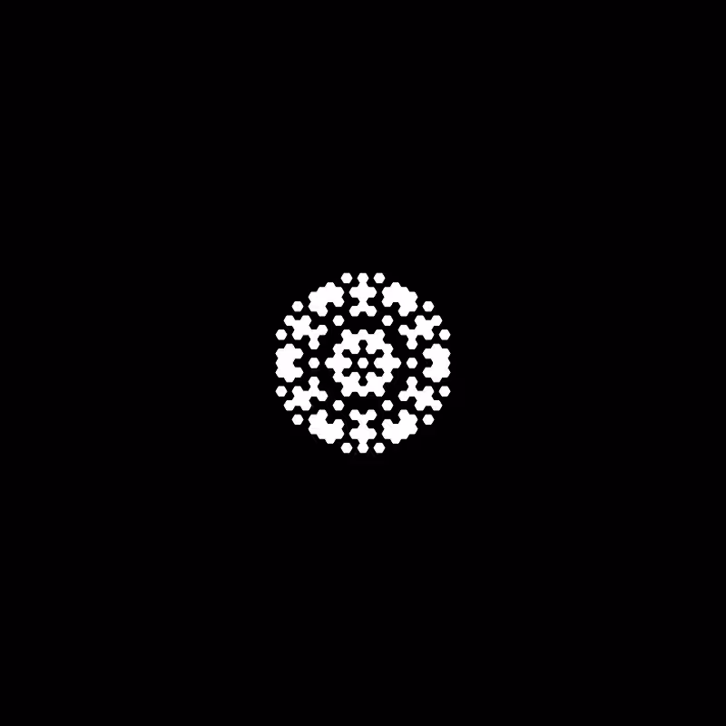 Snowflake #307