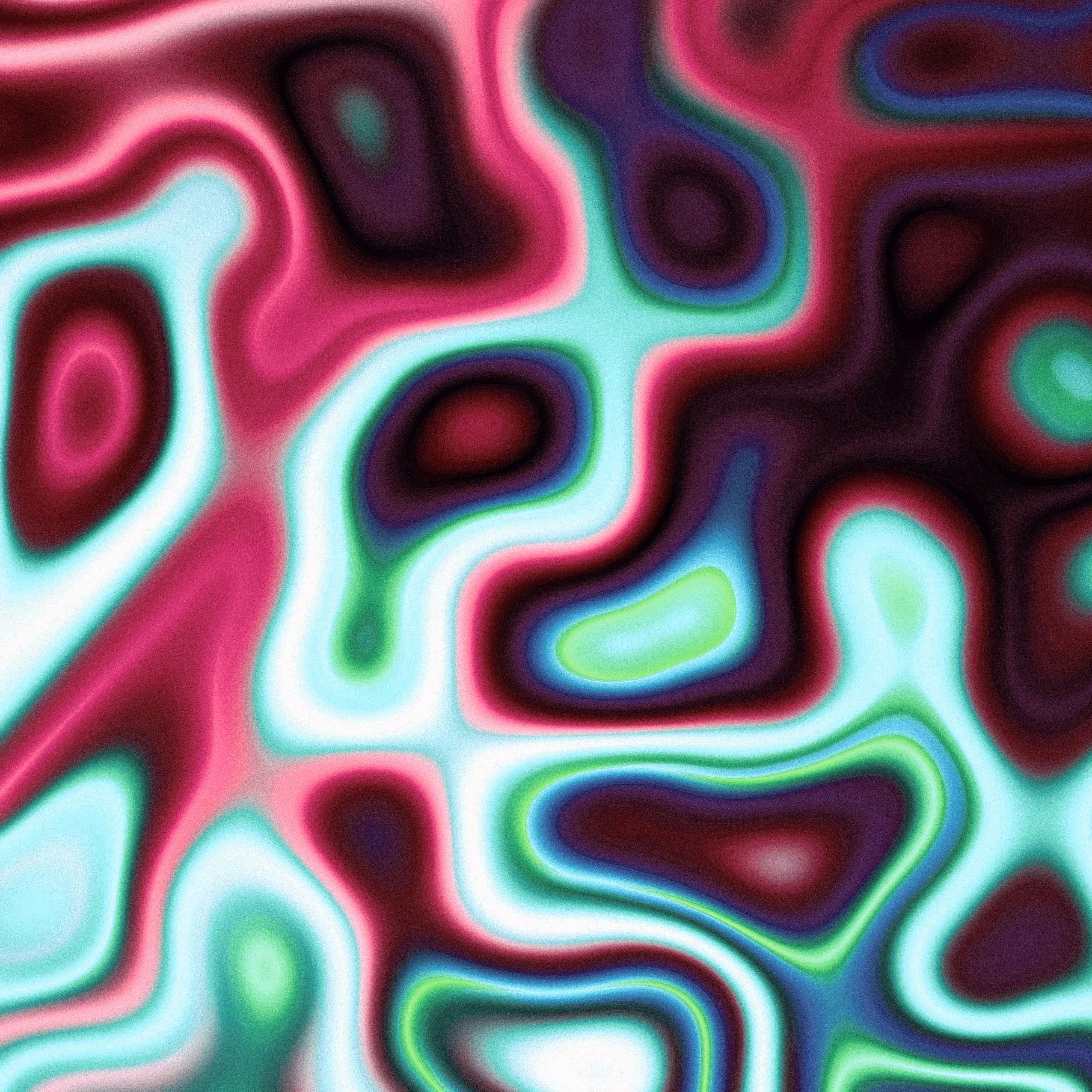              244