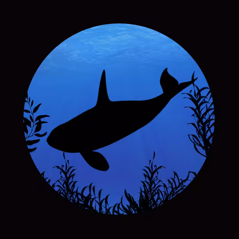 Whale #5
