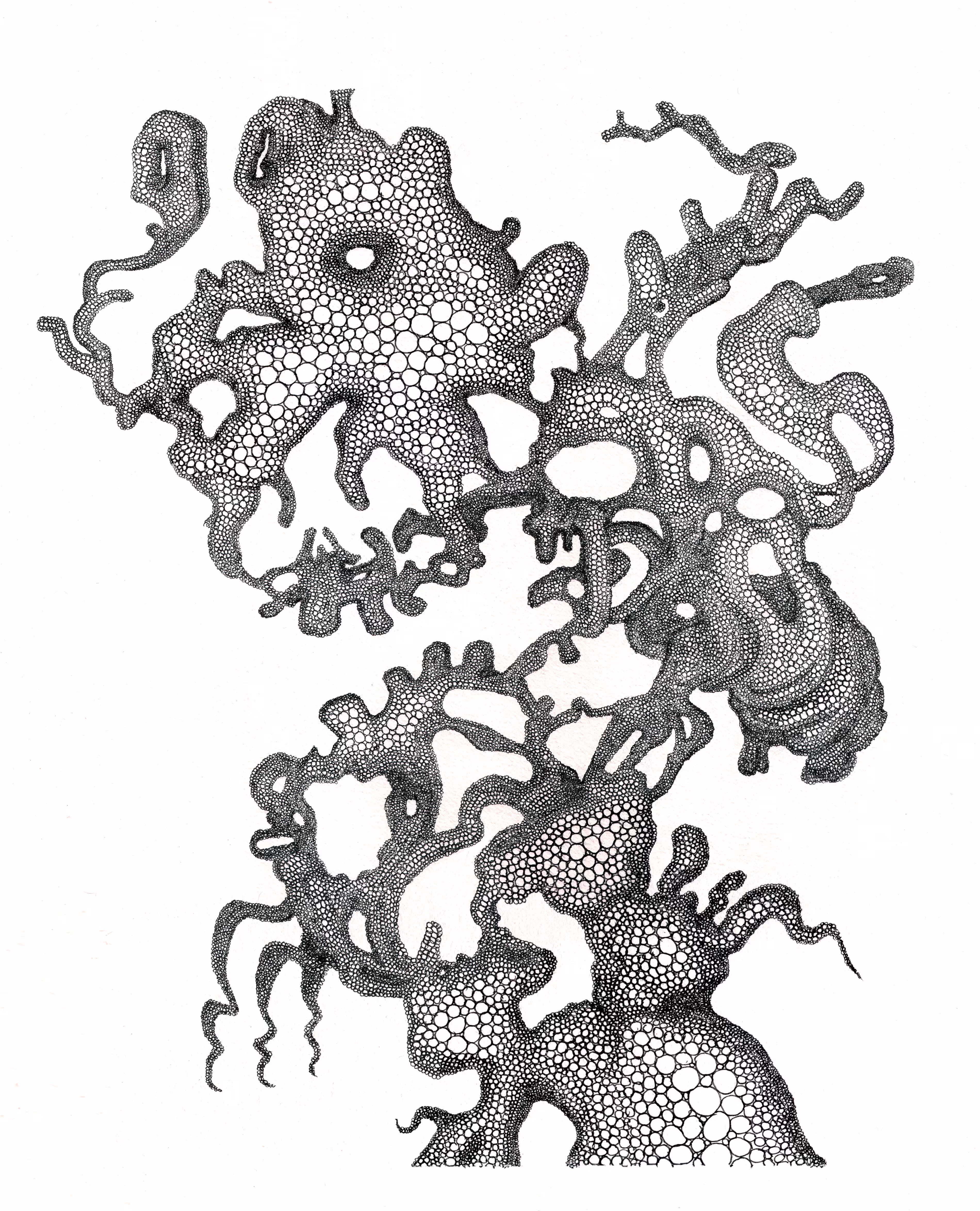 Ghost in the rhizome