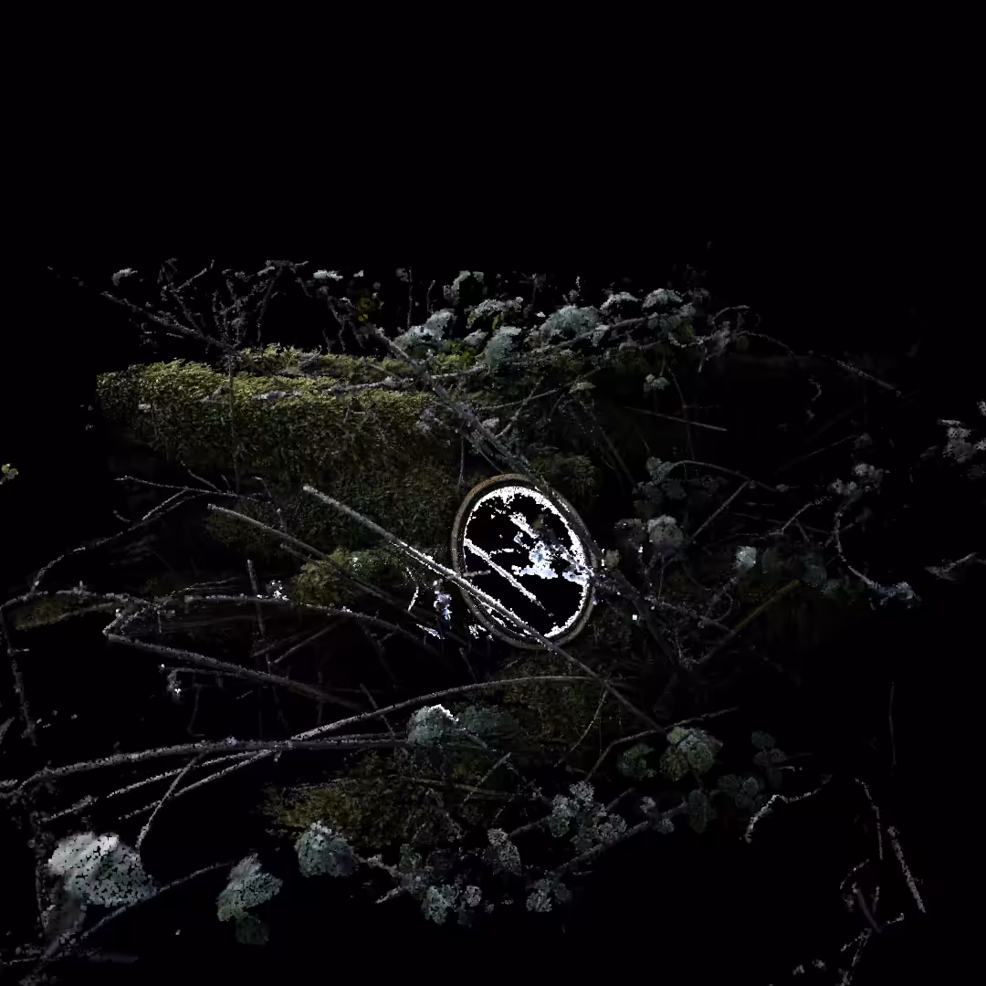 23