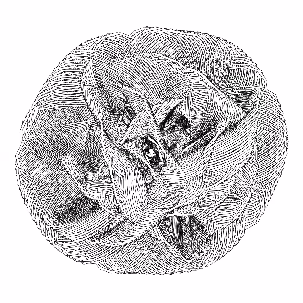 LL21 Entangled (3) #262