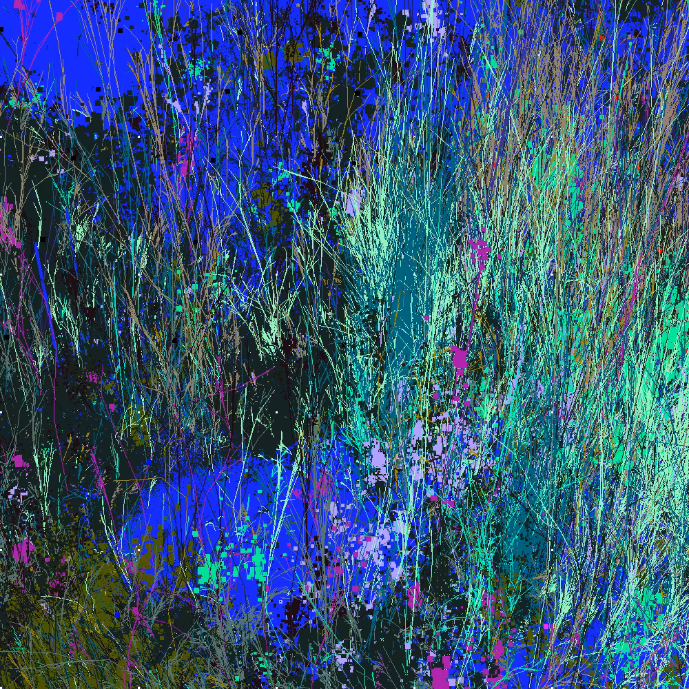 Infinite Garden: 76397 Flowers