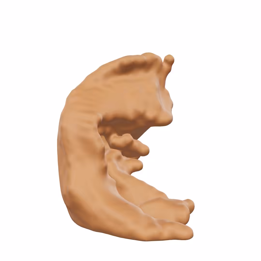 The Sculpture