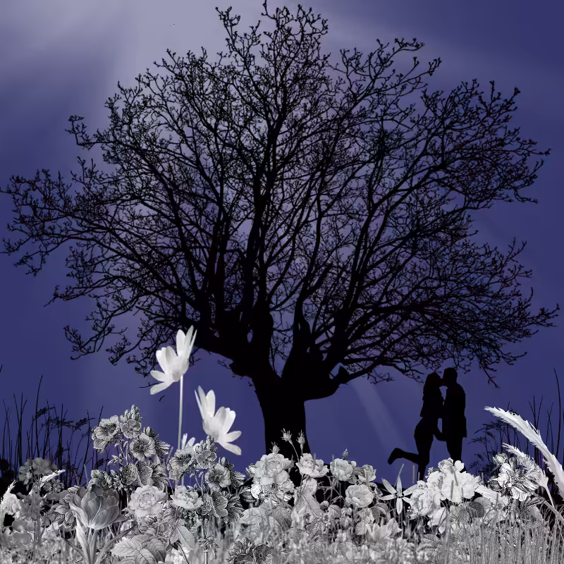 FXBWColor Garden #9