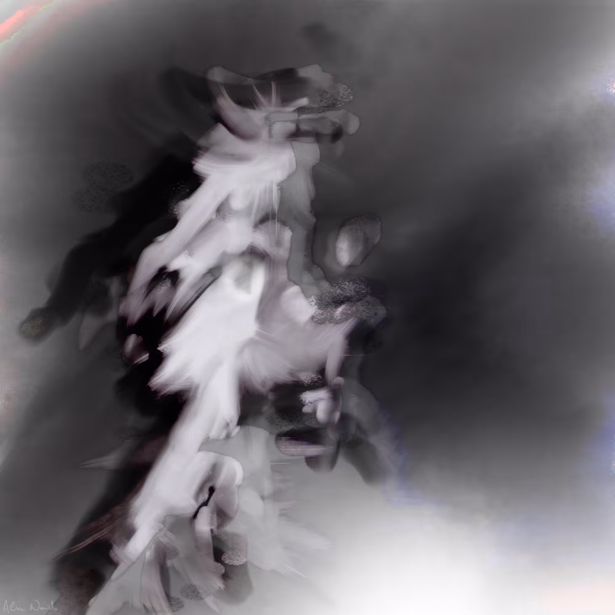 Danse Solitaire
