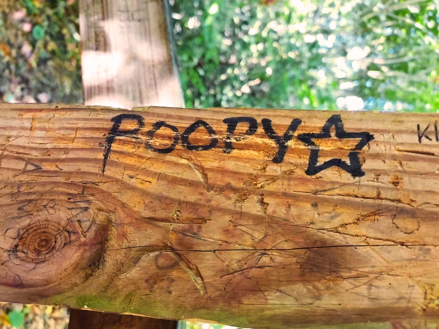 #002 POOPY