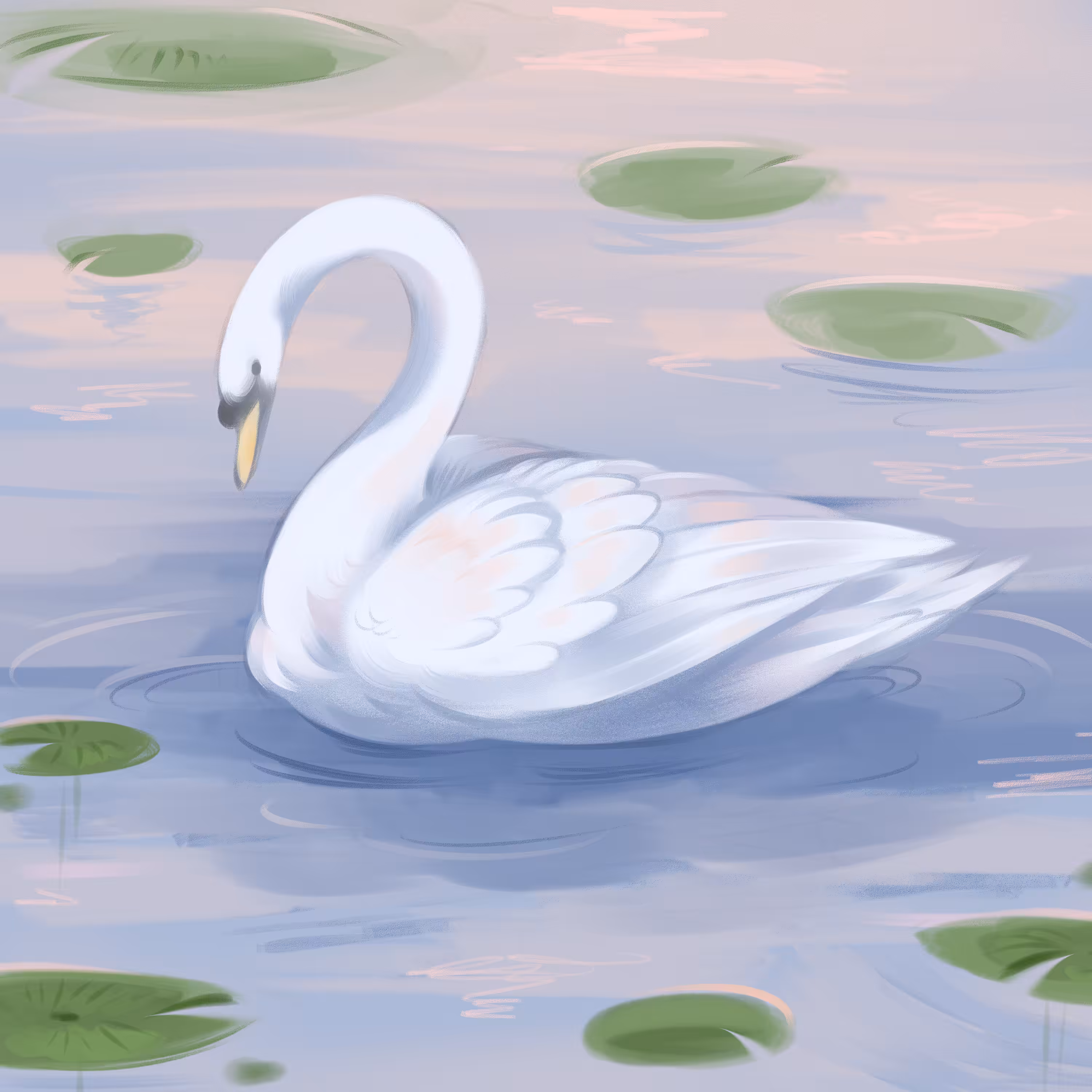 Swan