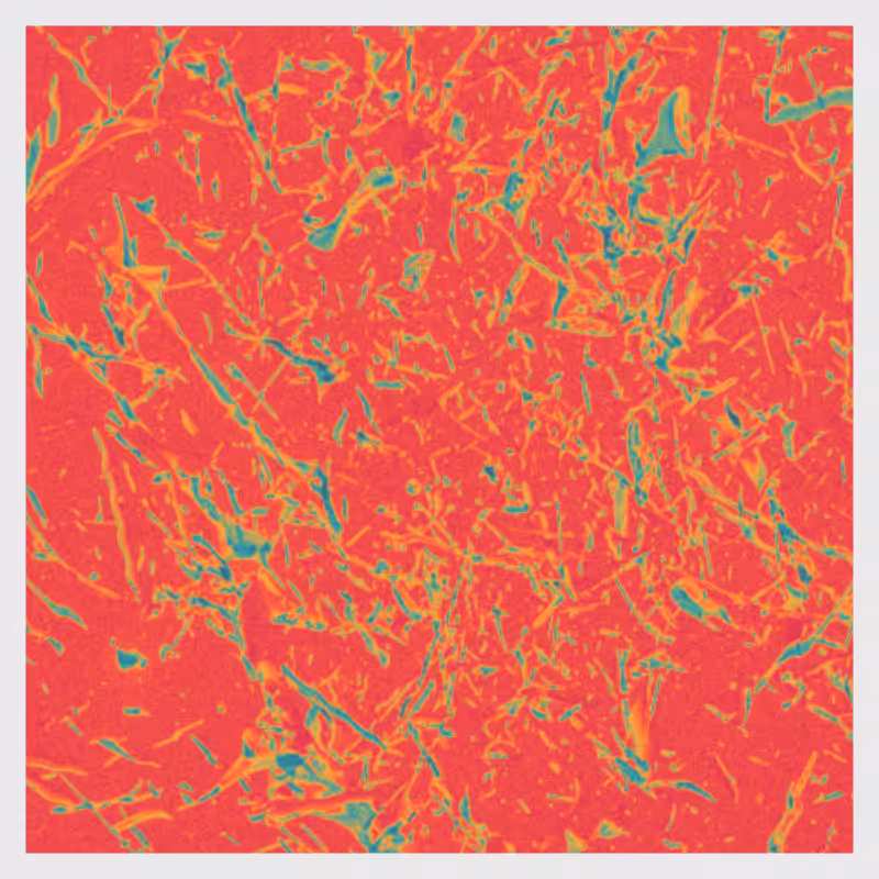 Dynamical System #14