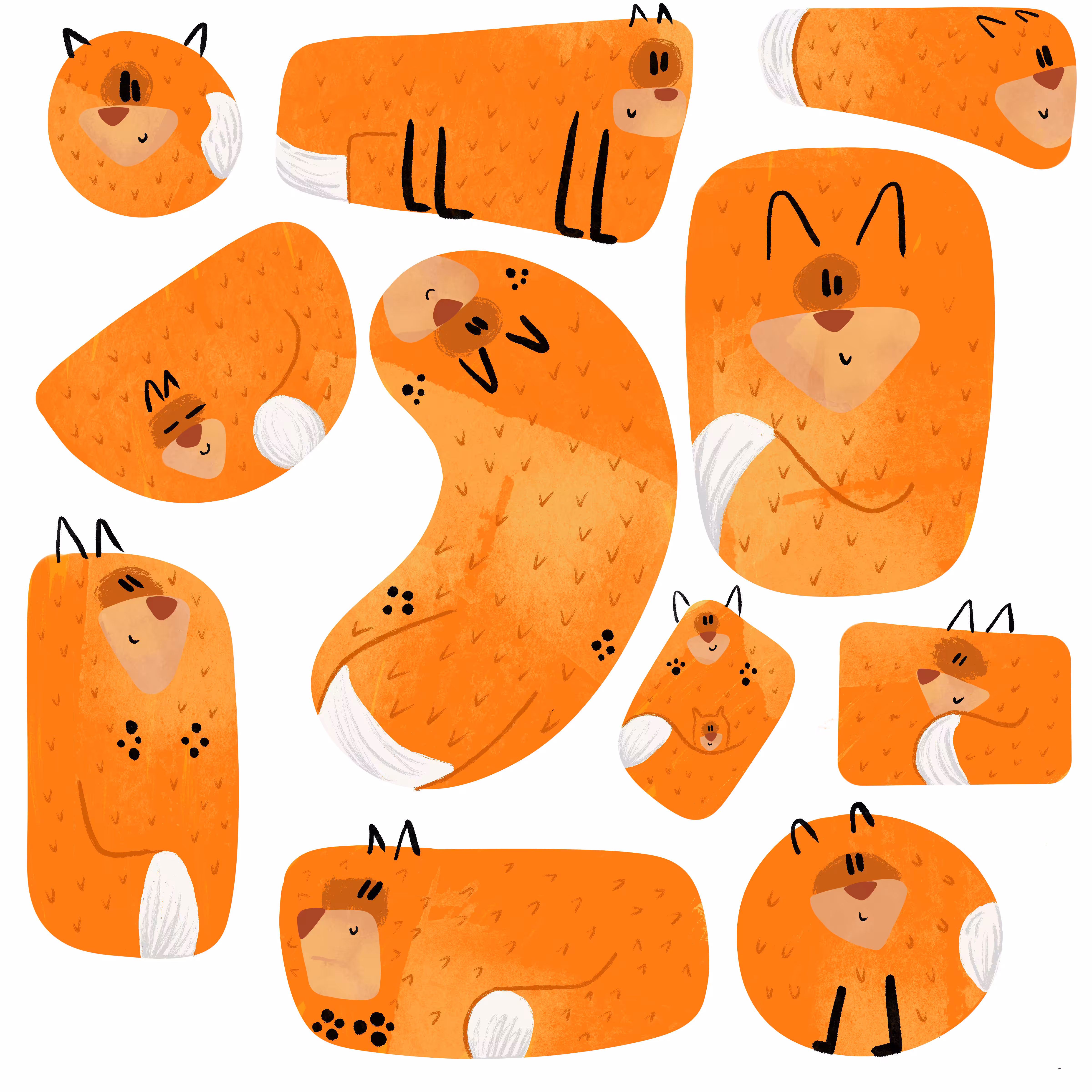 Just some Foxes!!