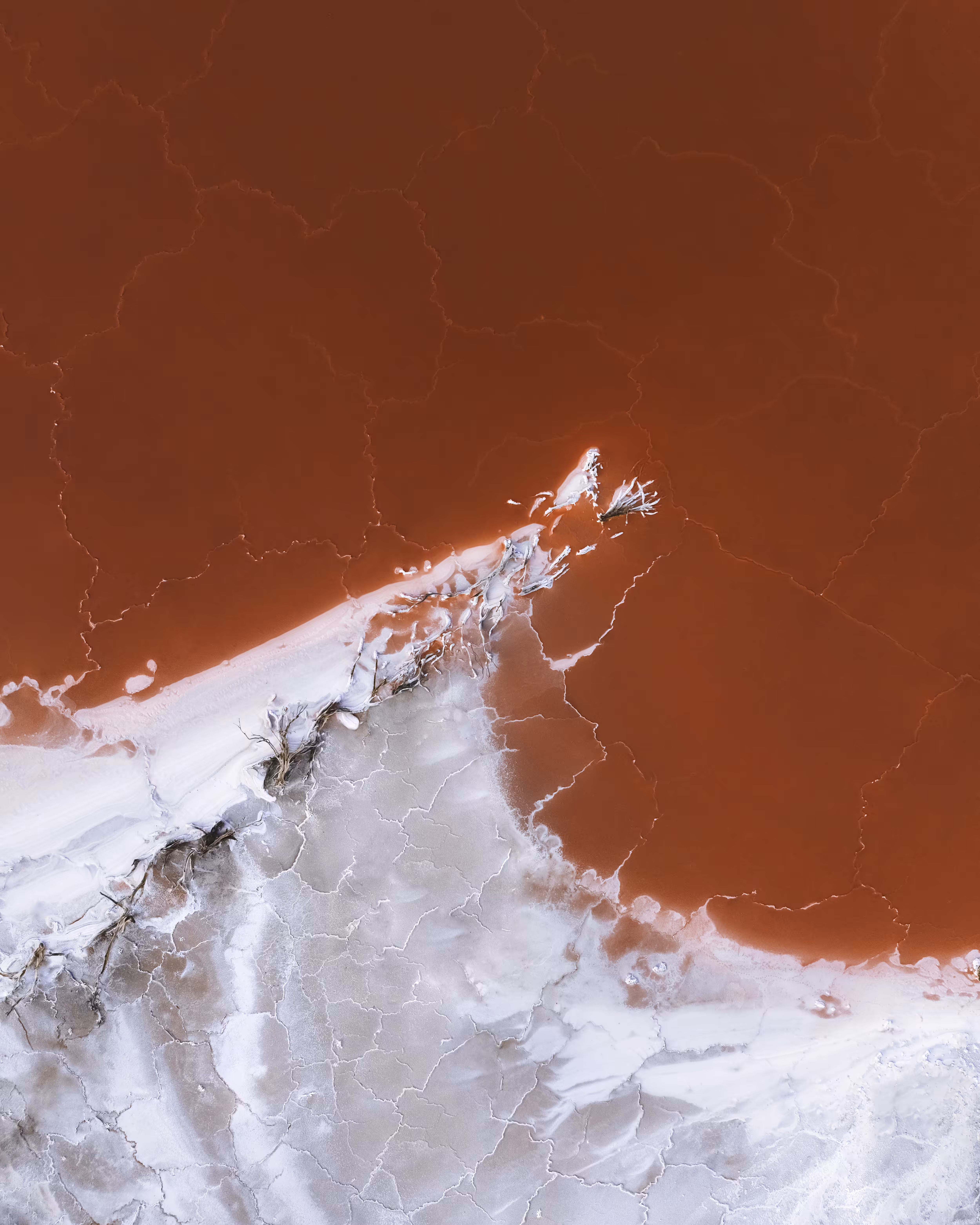 Tsunami