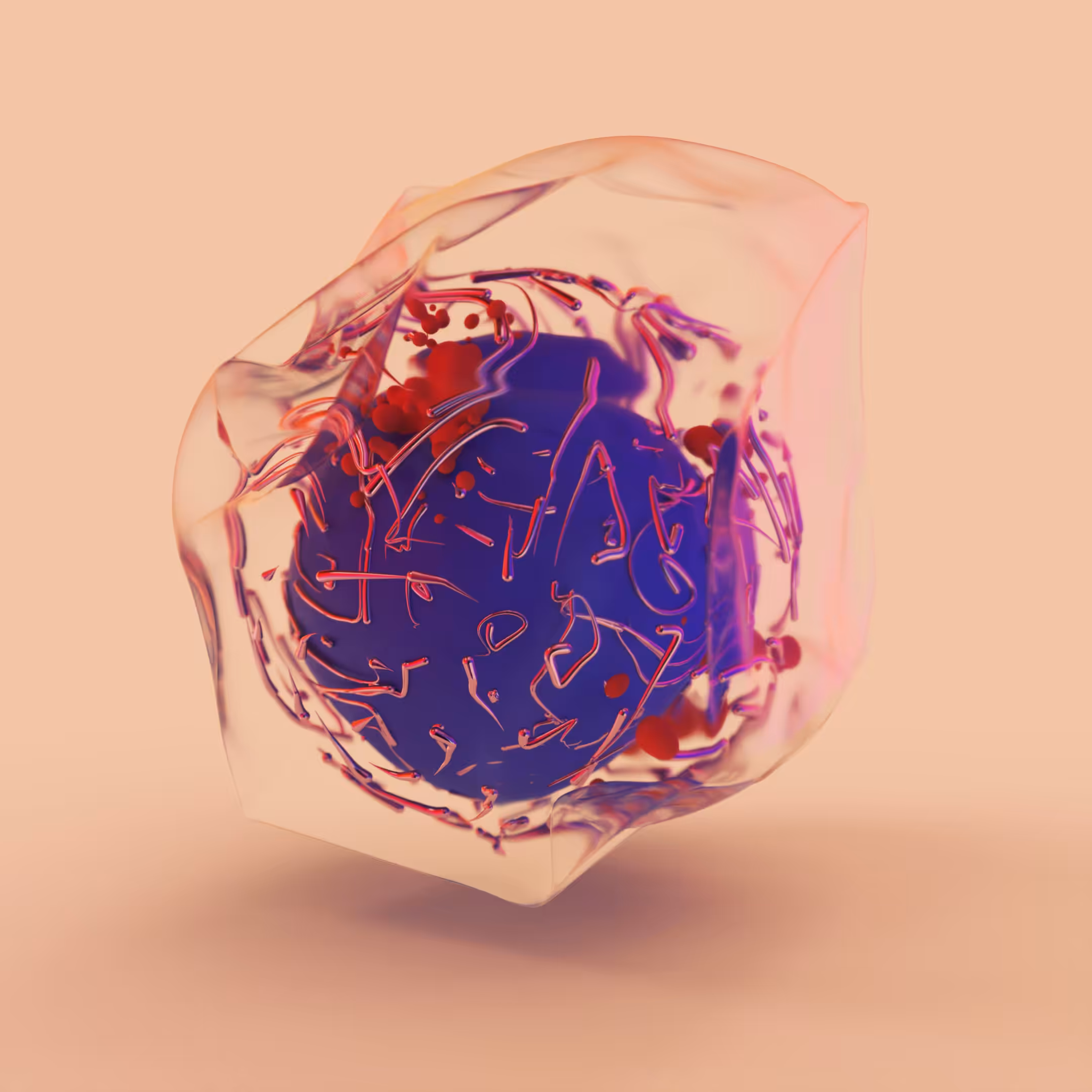 Complexity 02