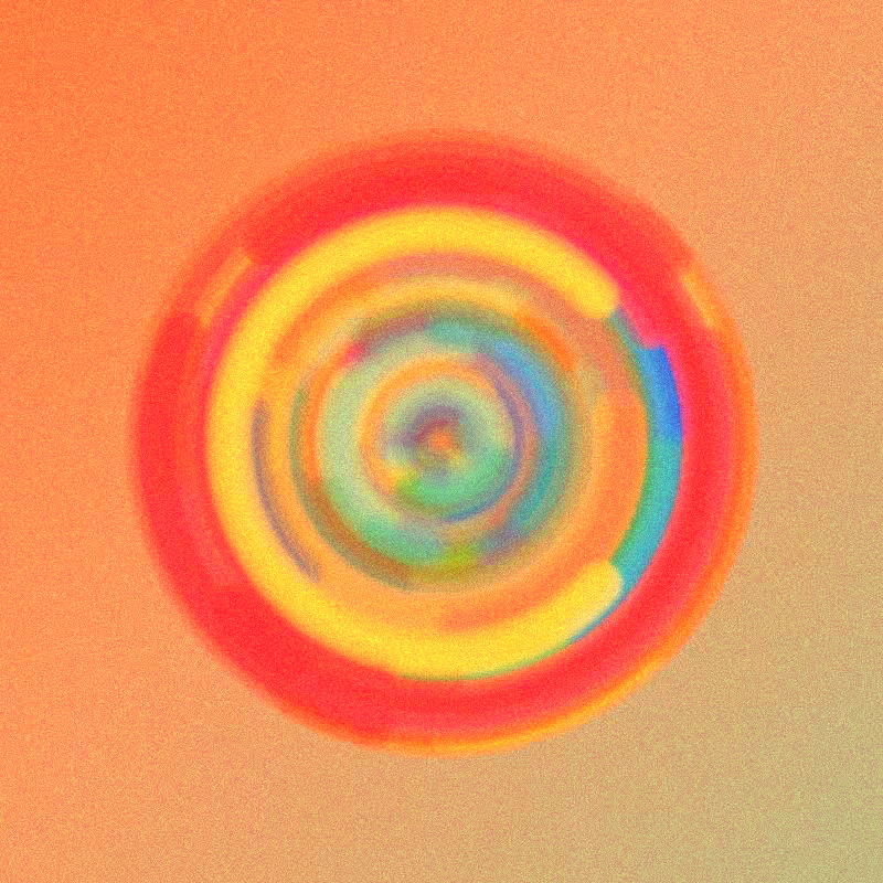 Wisp #307
