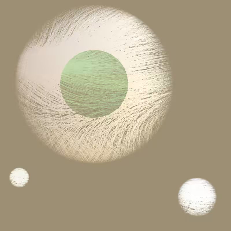 Orbit #154