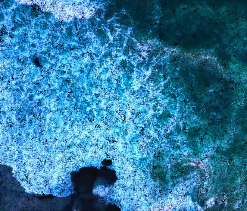 Ocean Waves