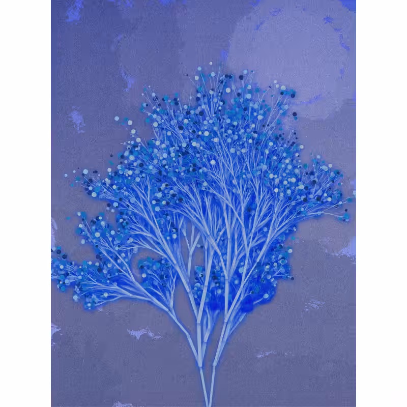 Garden of the Hesperides #50