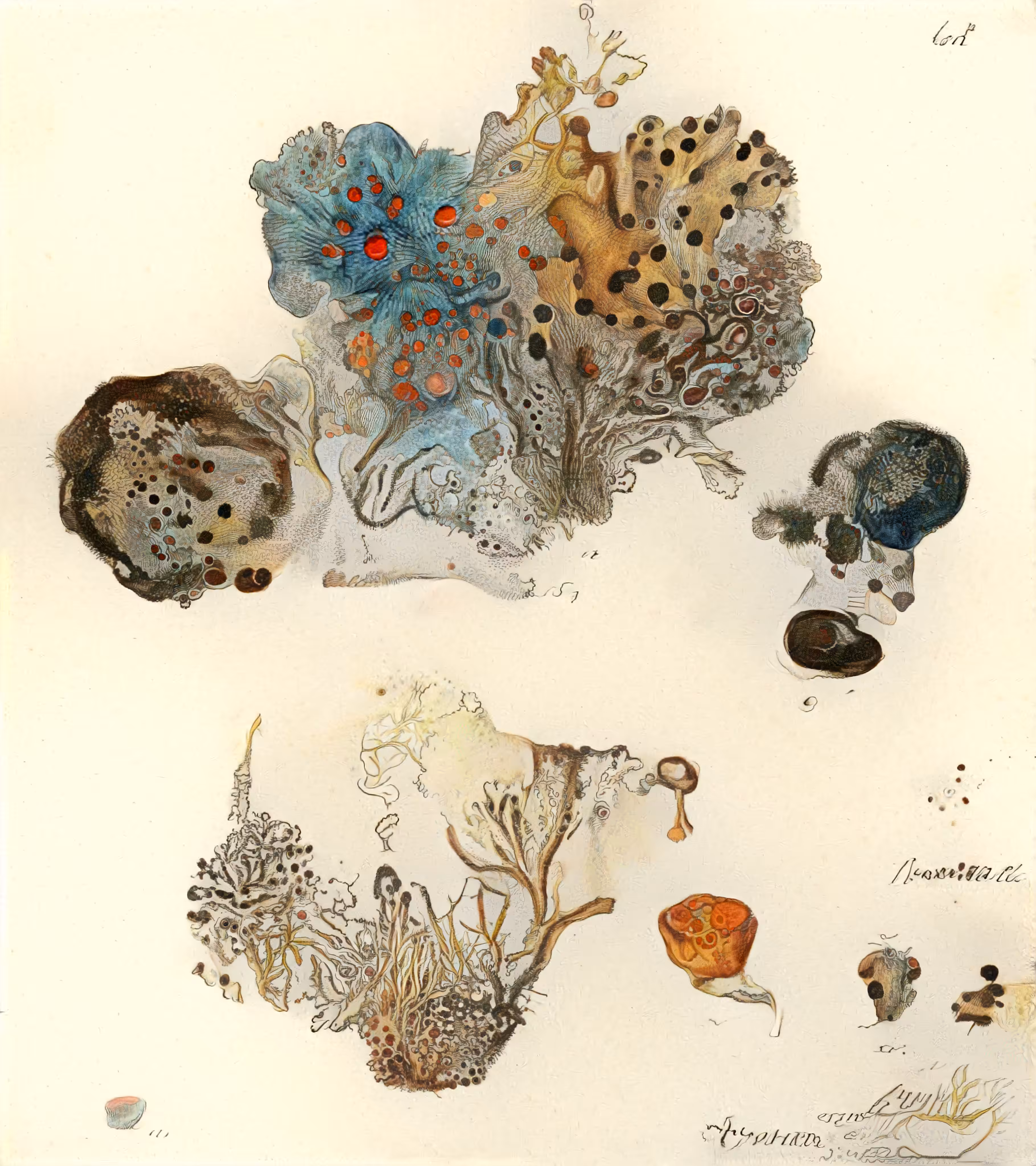 composite_conditions_1002