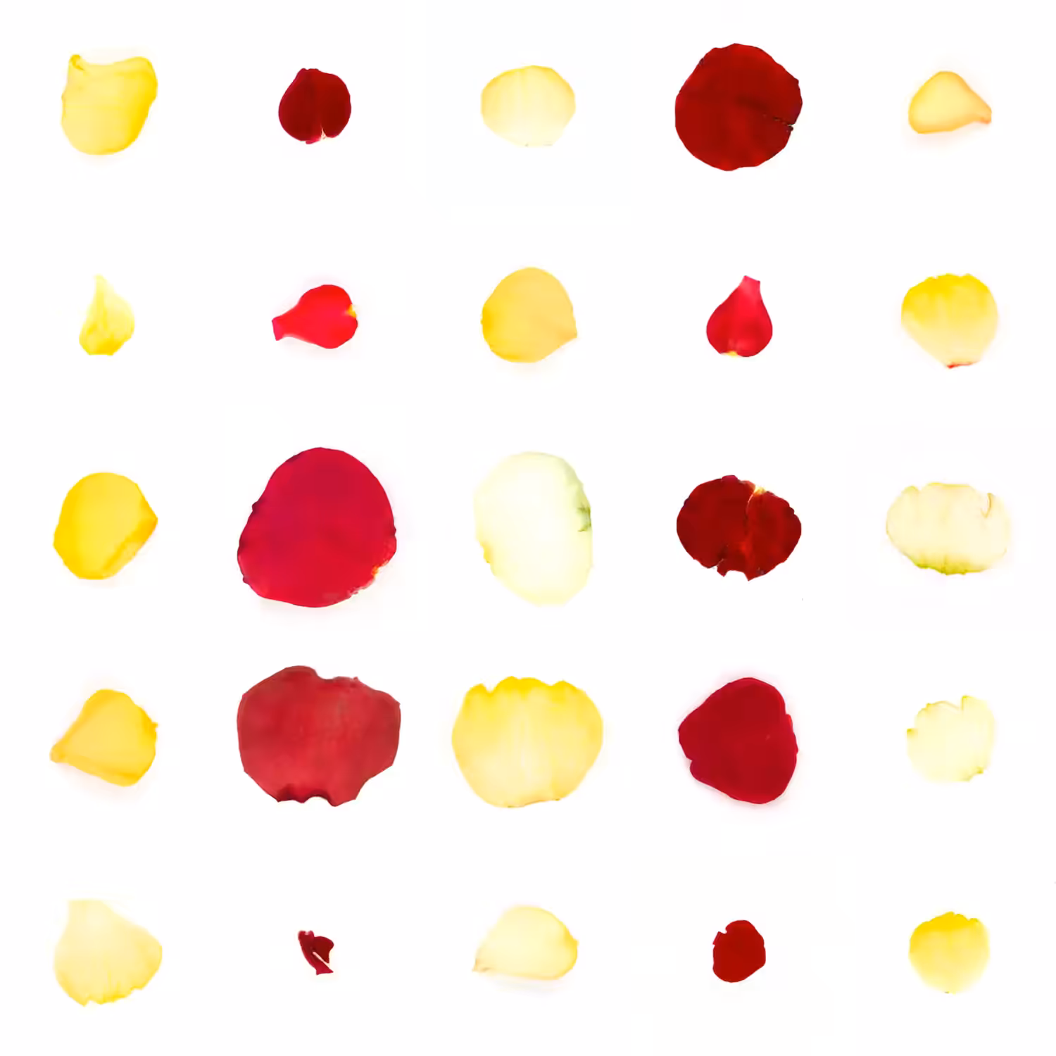 Infinite Petals 5x5#1894