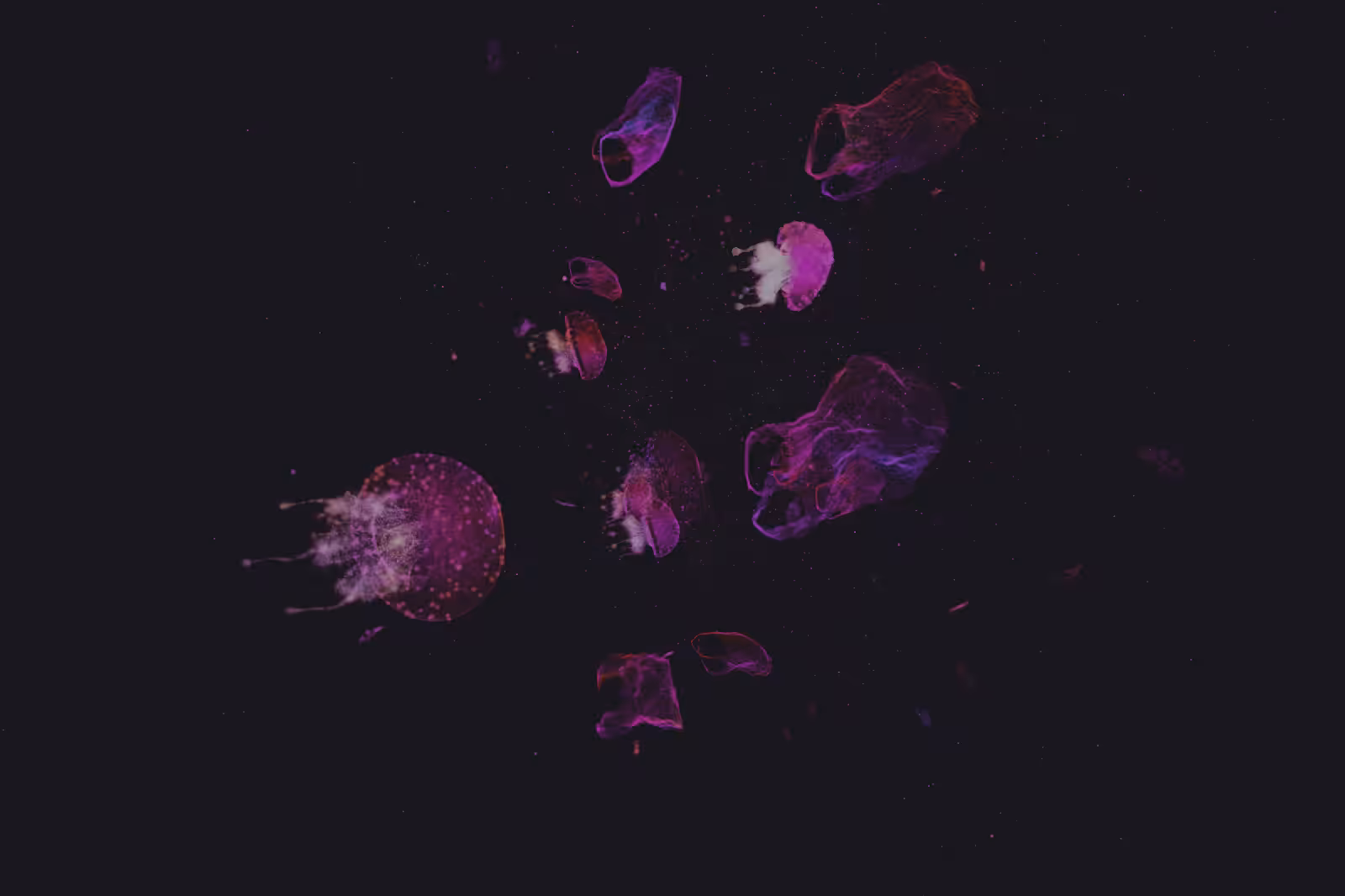 Turtle Vision #172