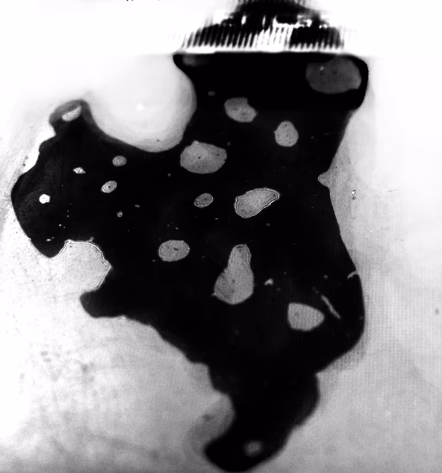 deForms: Butterflies butterflies