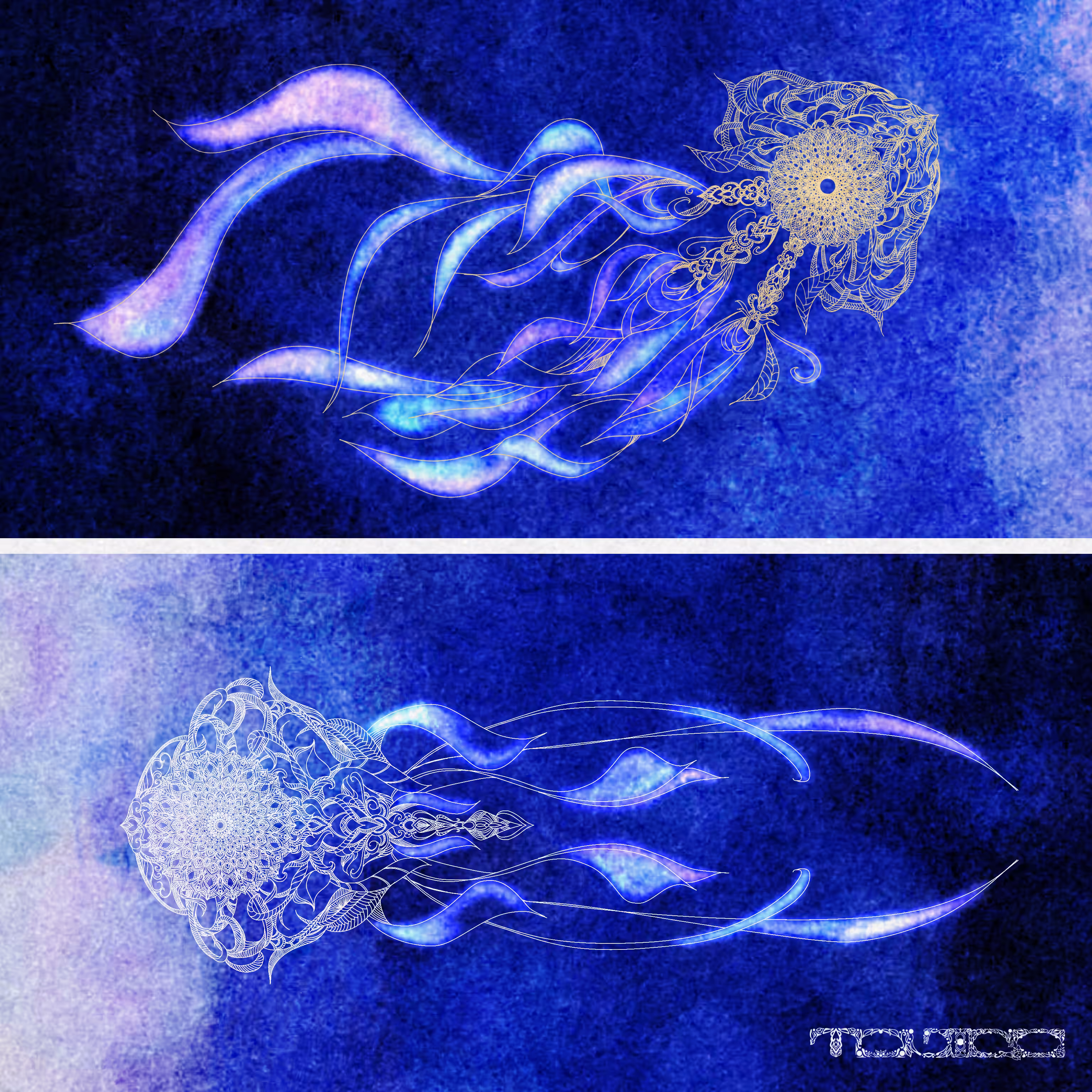 A perfect day for Jellyfish
