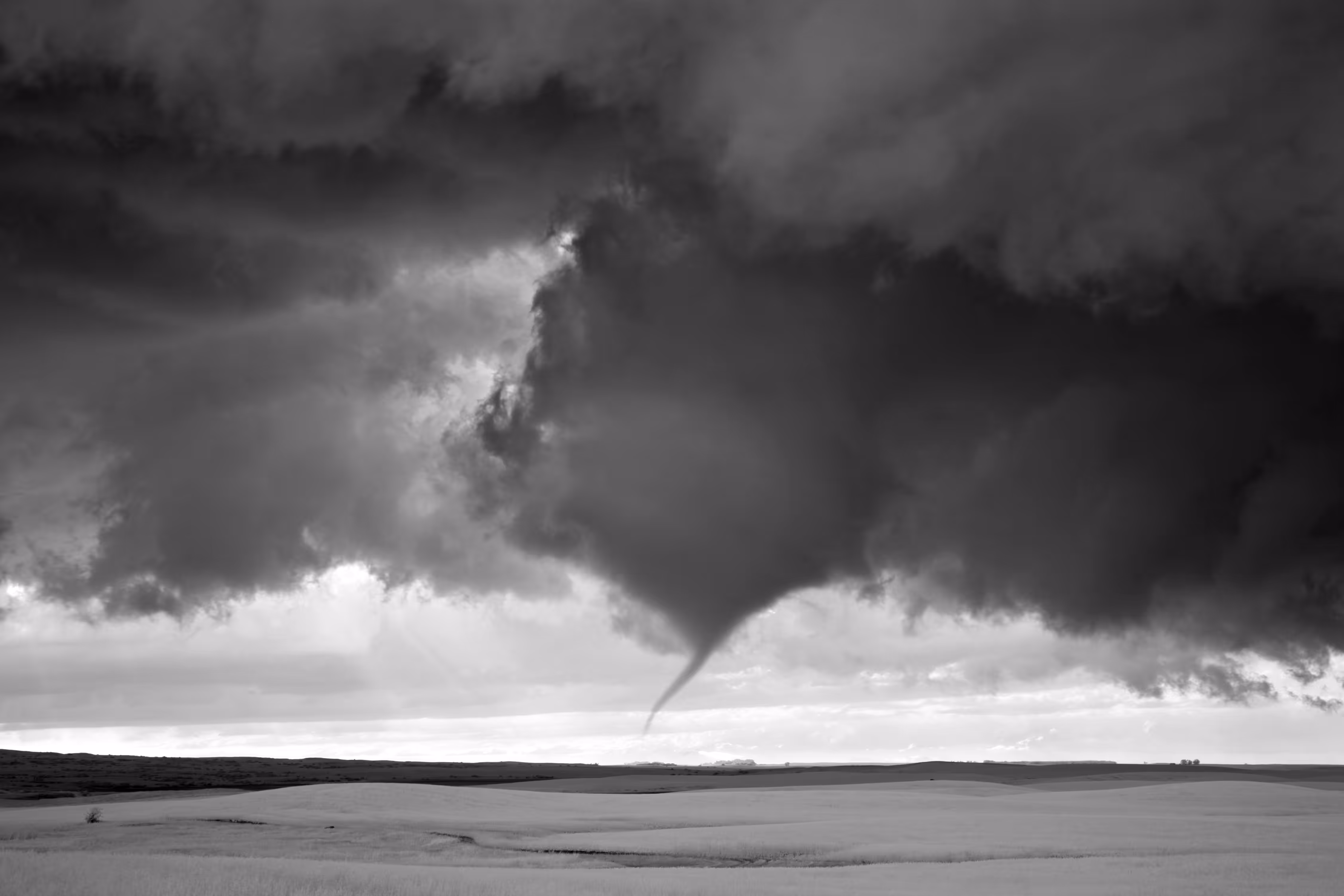 Storms - Tail Cloud