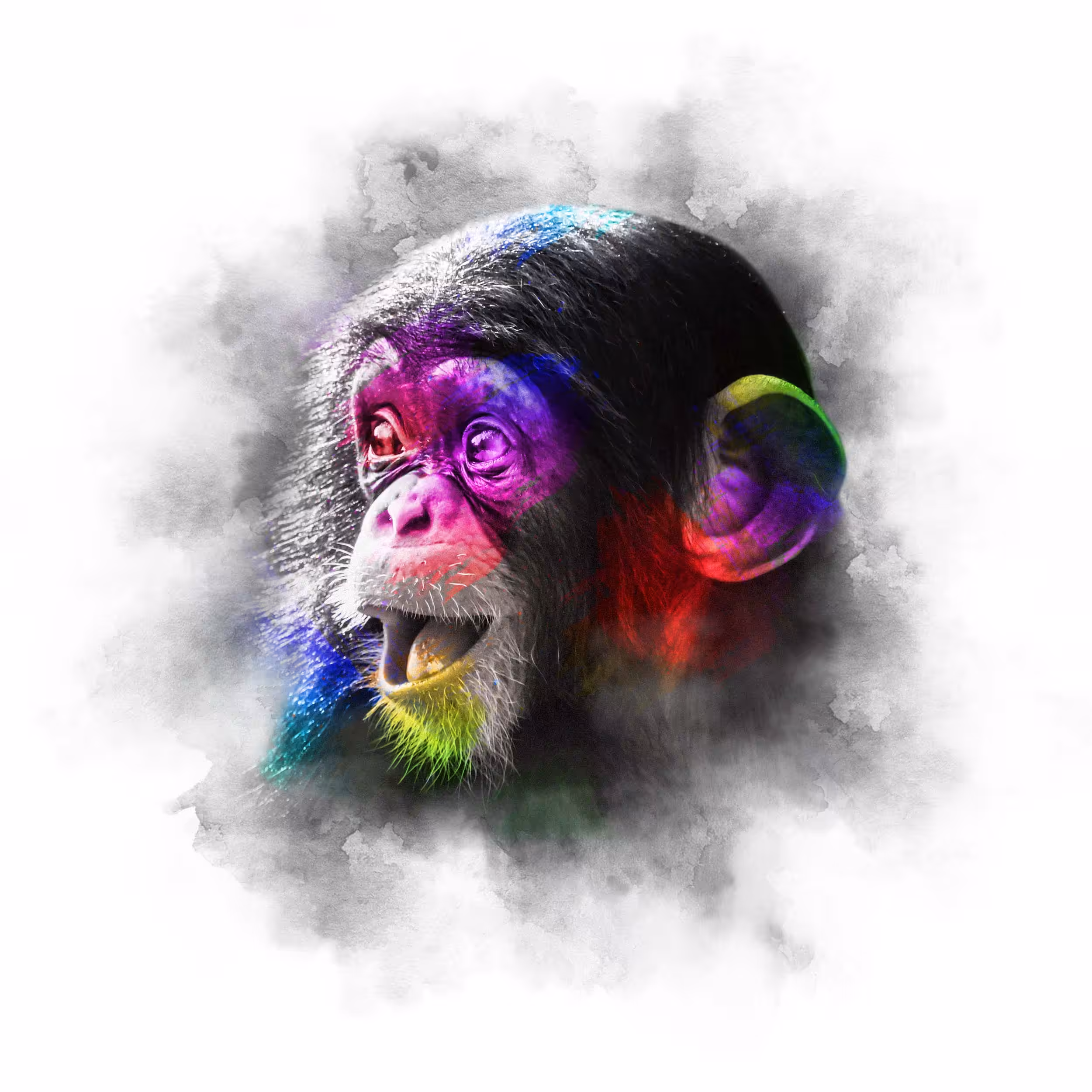 PSYCHEDELIC BABY - CHIMP