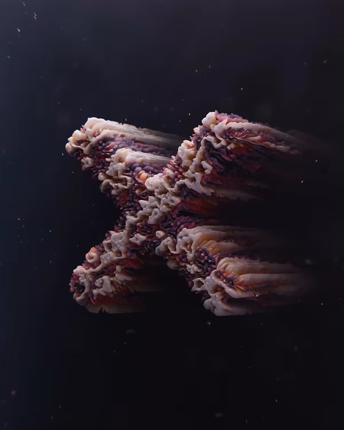 [X]29