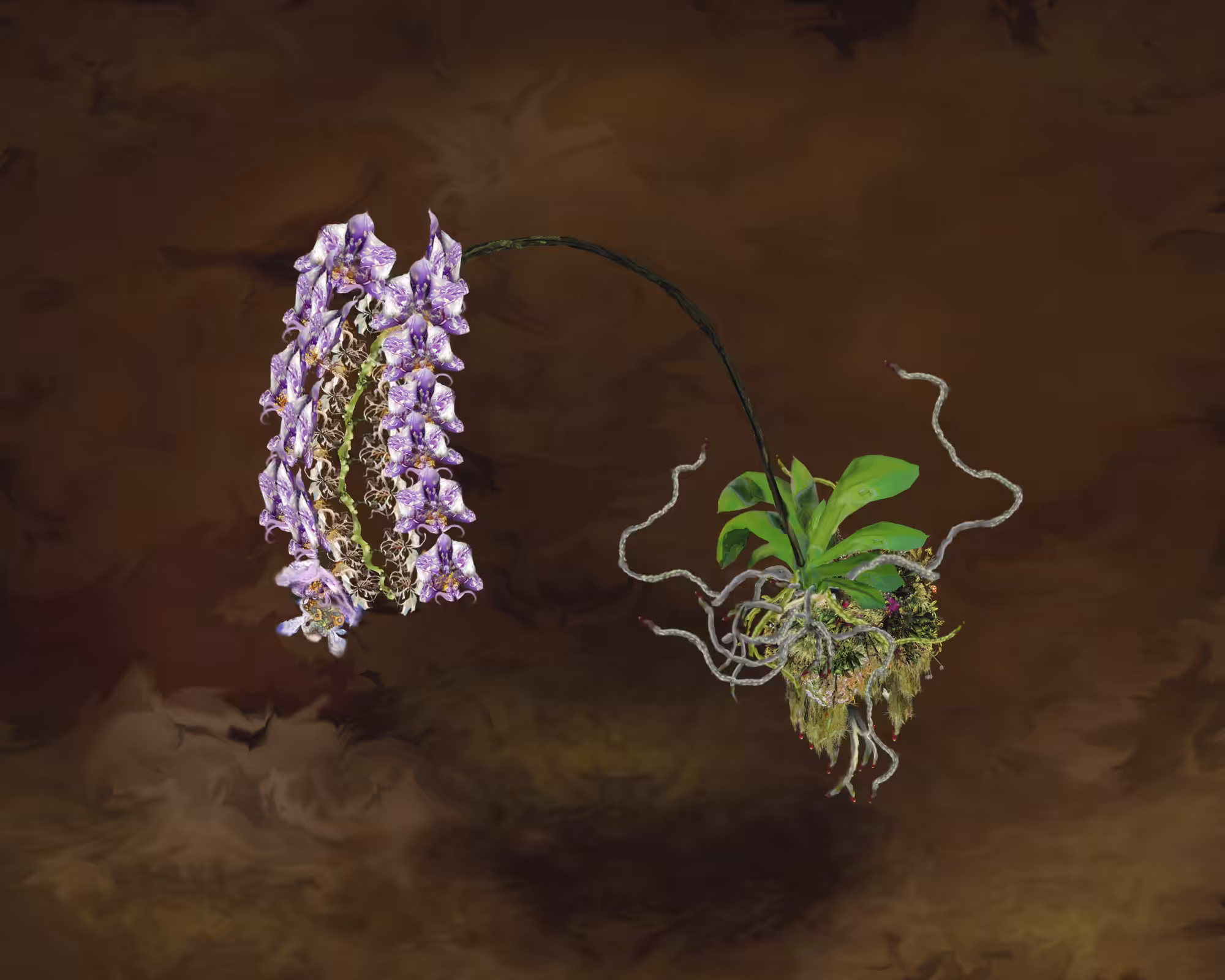 Flower 34.0