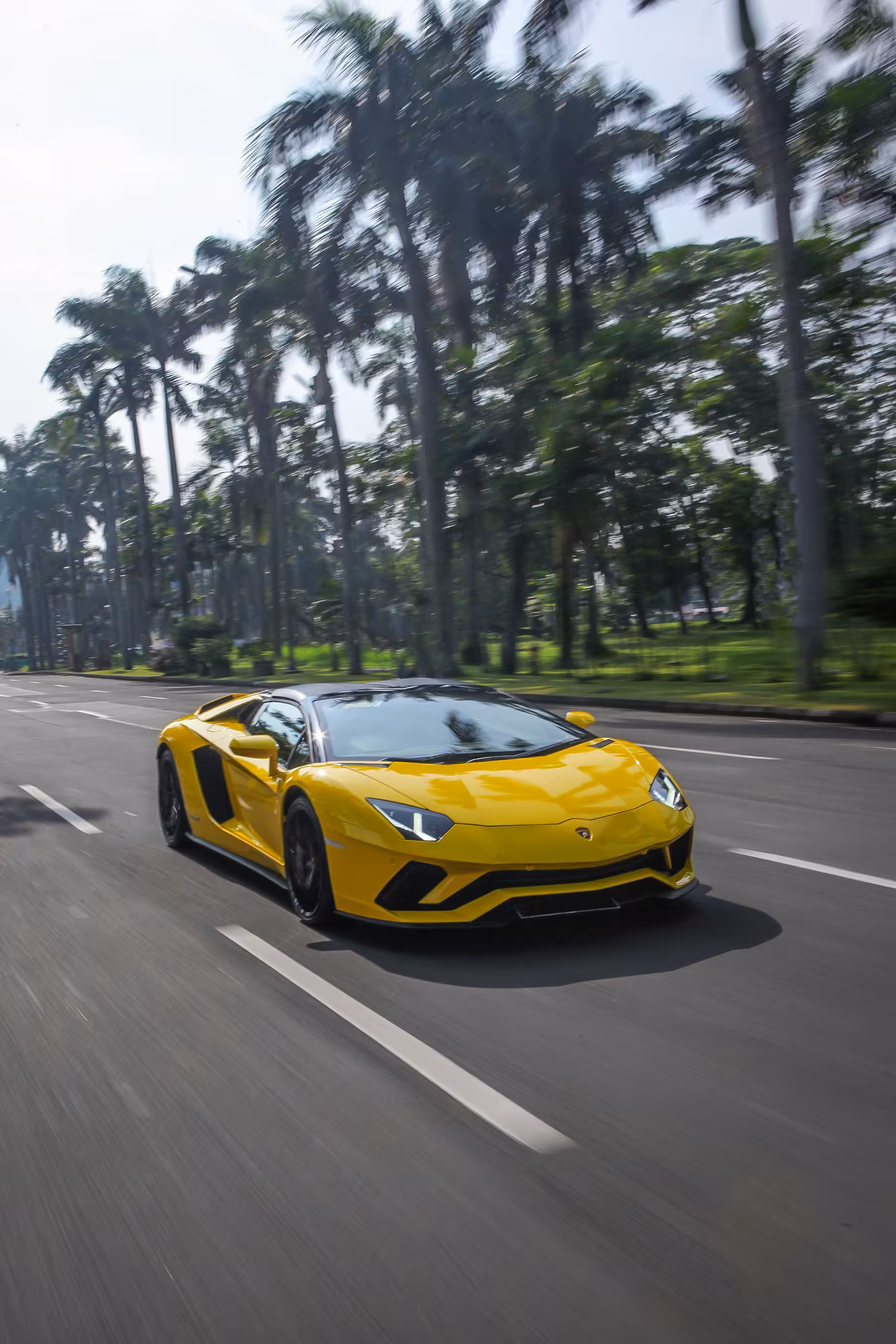 Lamborghini Aventador S Roadster