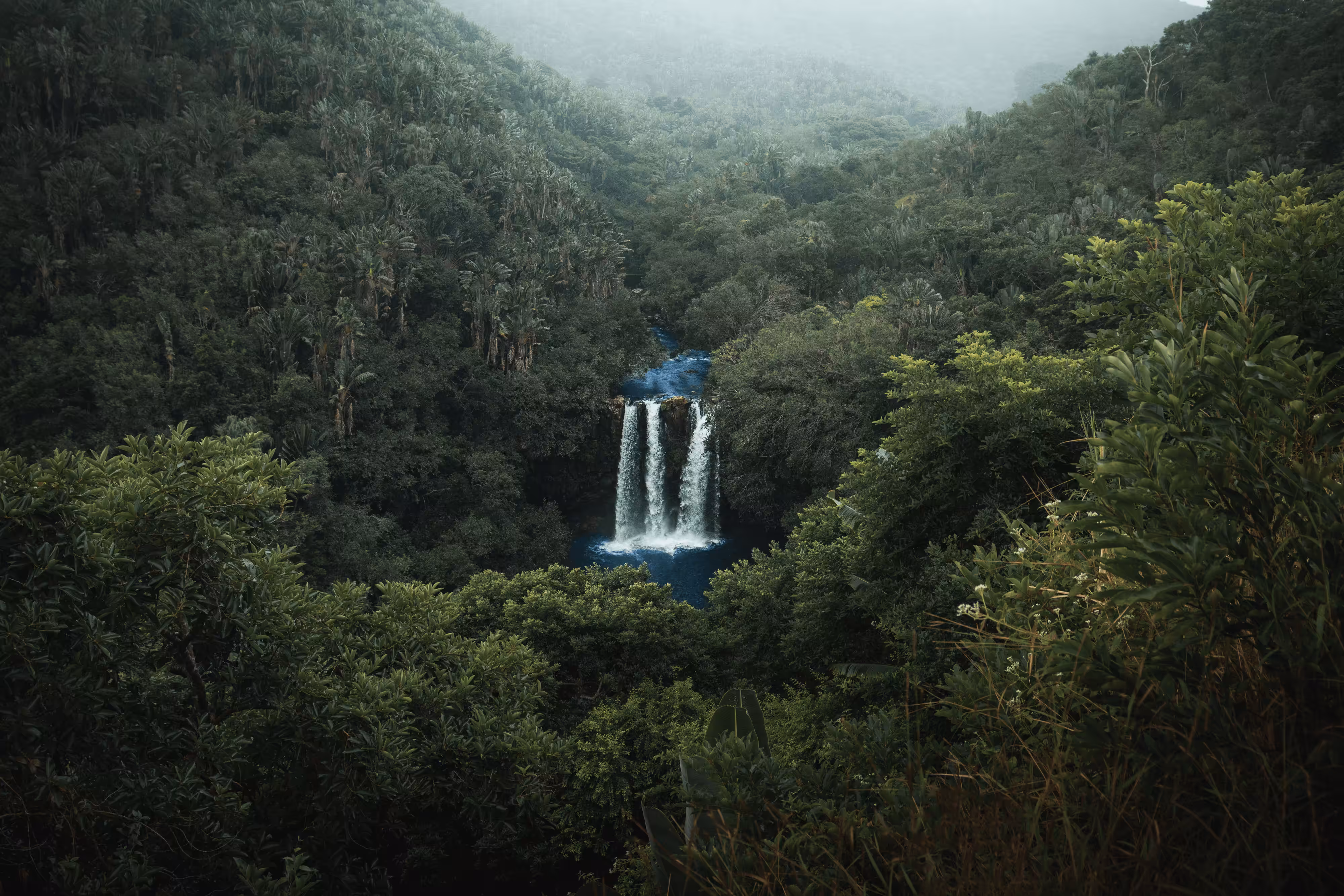 #14: Sanctuary