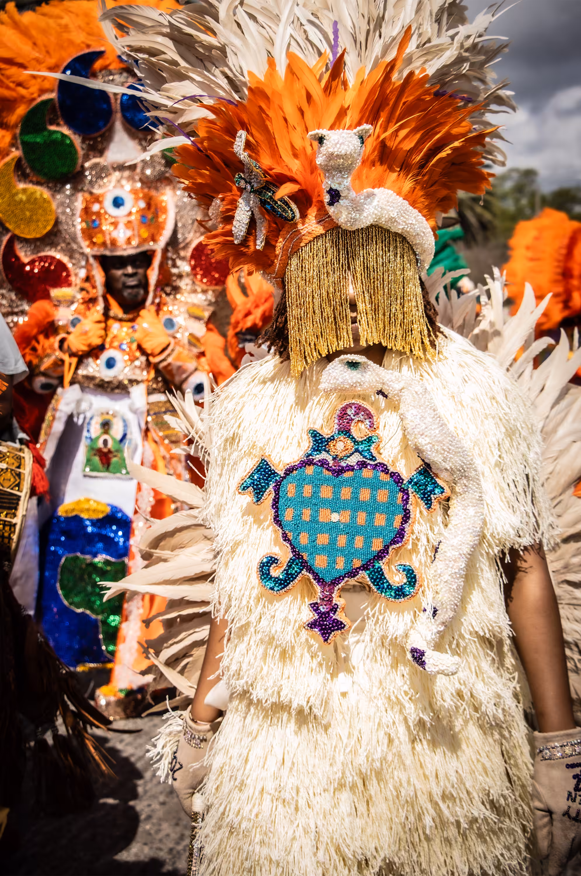 Culture Collection: My Culture Collection #050