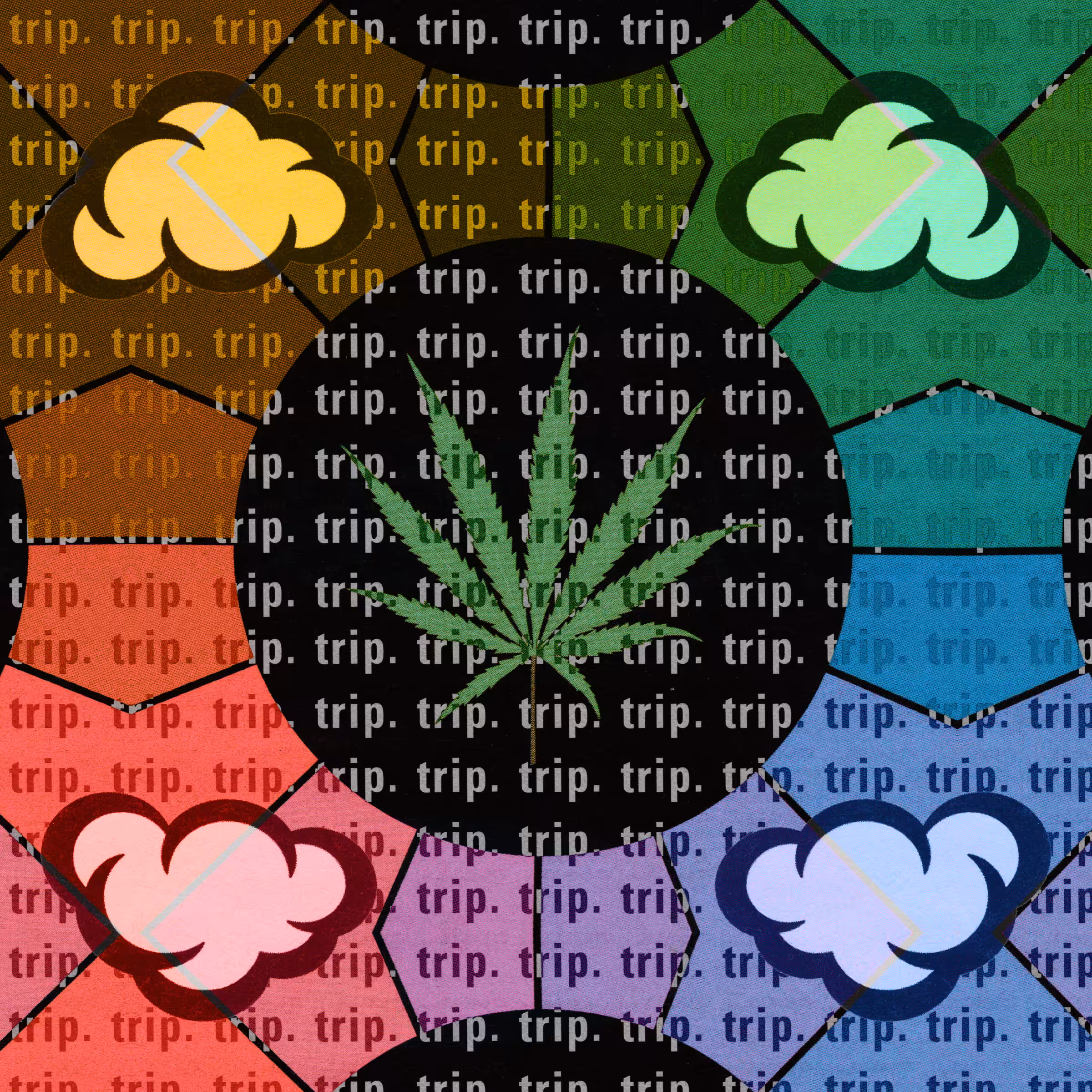 trip.