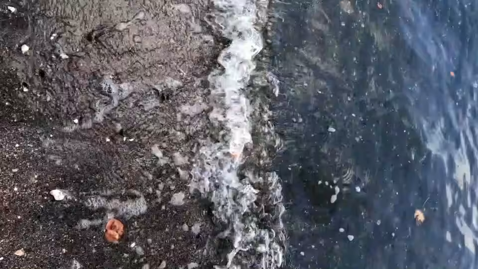 Wave Datamosh #1