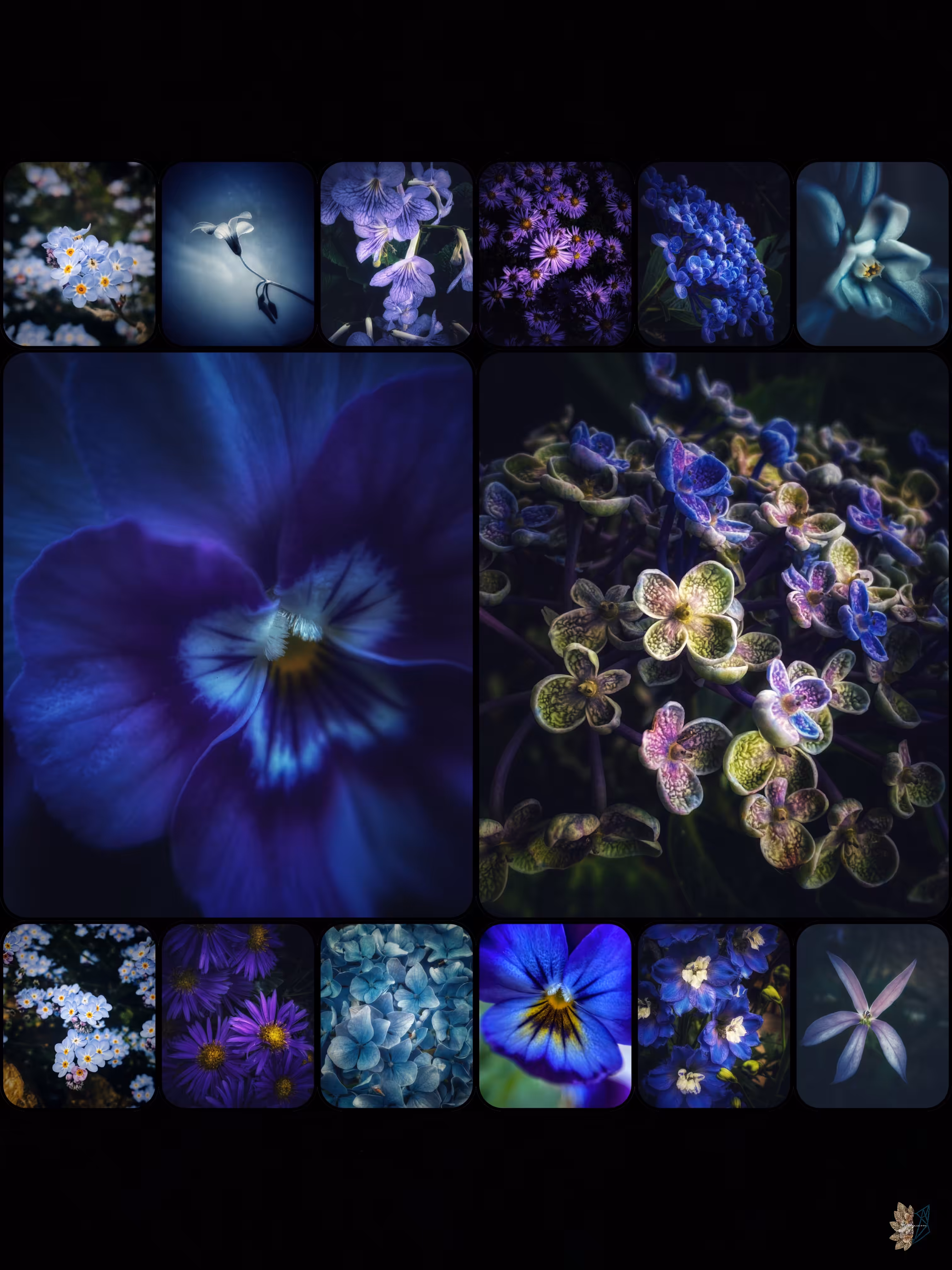 Once in a Blue Mood