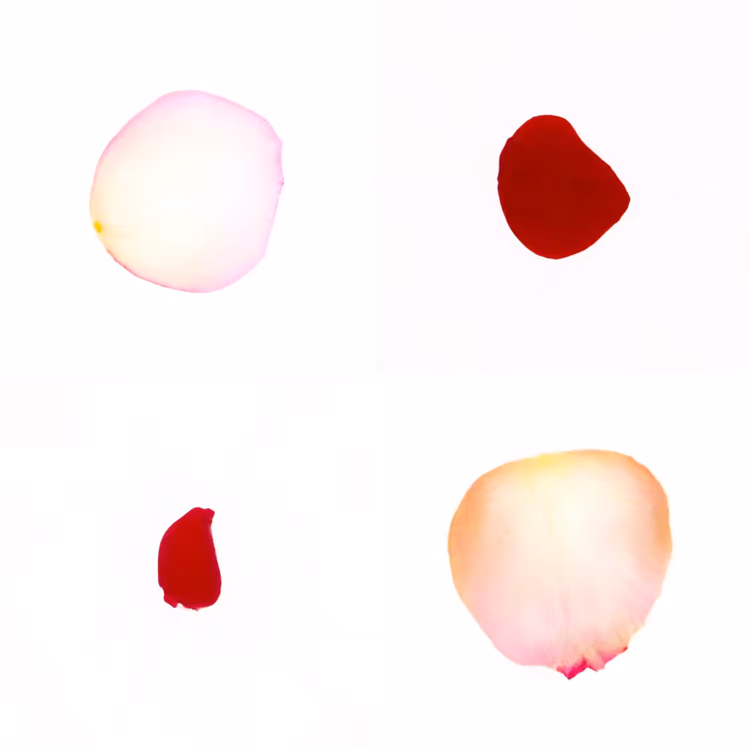 Infinite Petals 2x2#20117