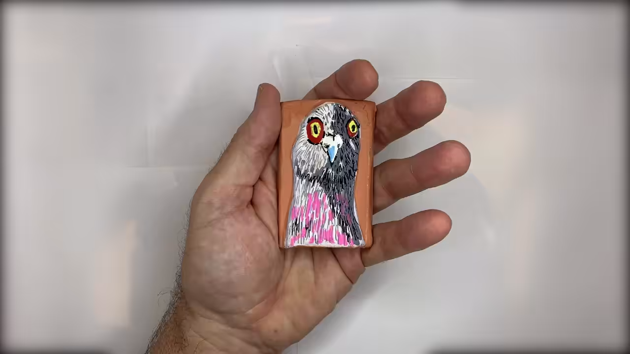 In My Hand_Pigeon 1
