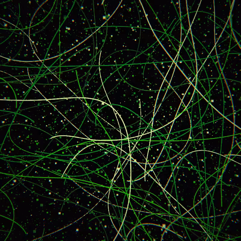 Neon Curves #15