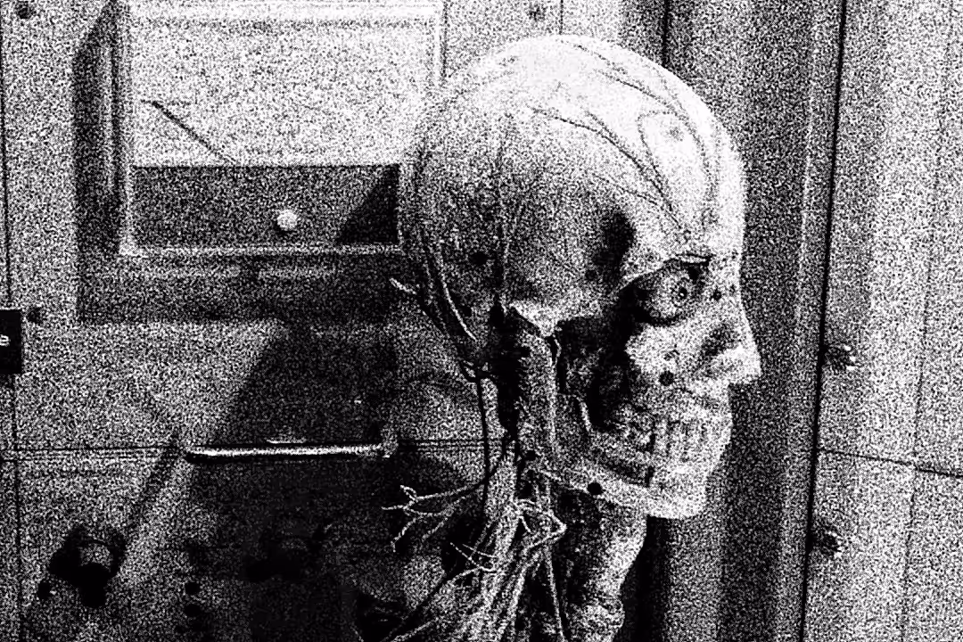 Anatomy 