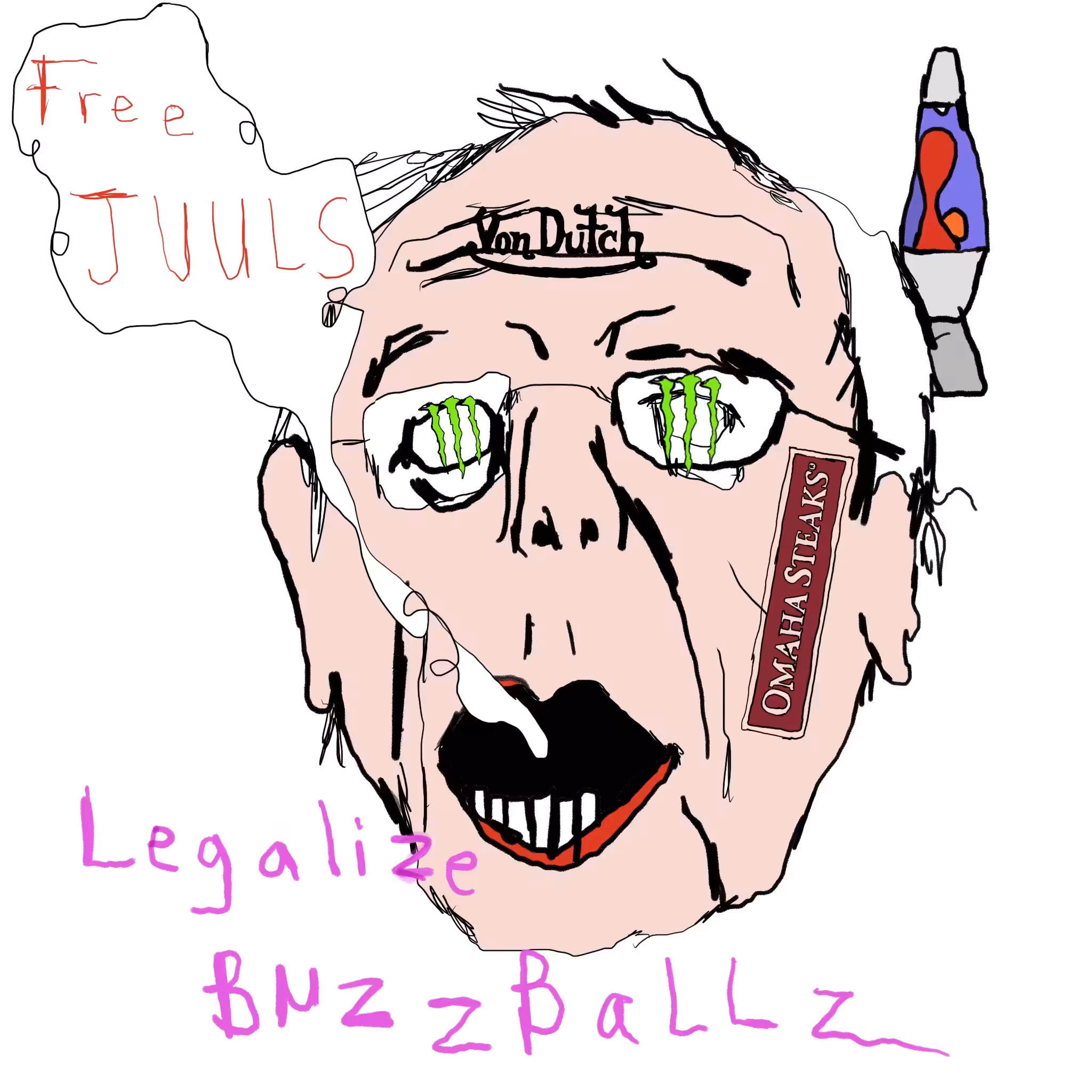 bernie would have won